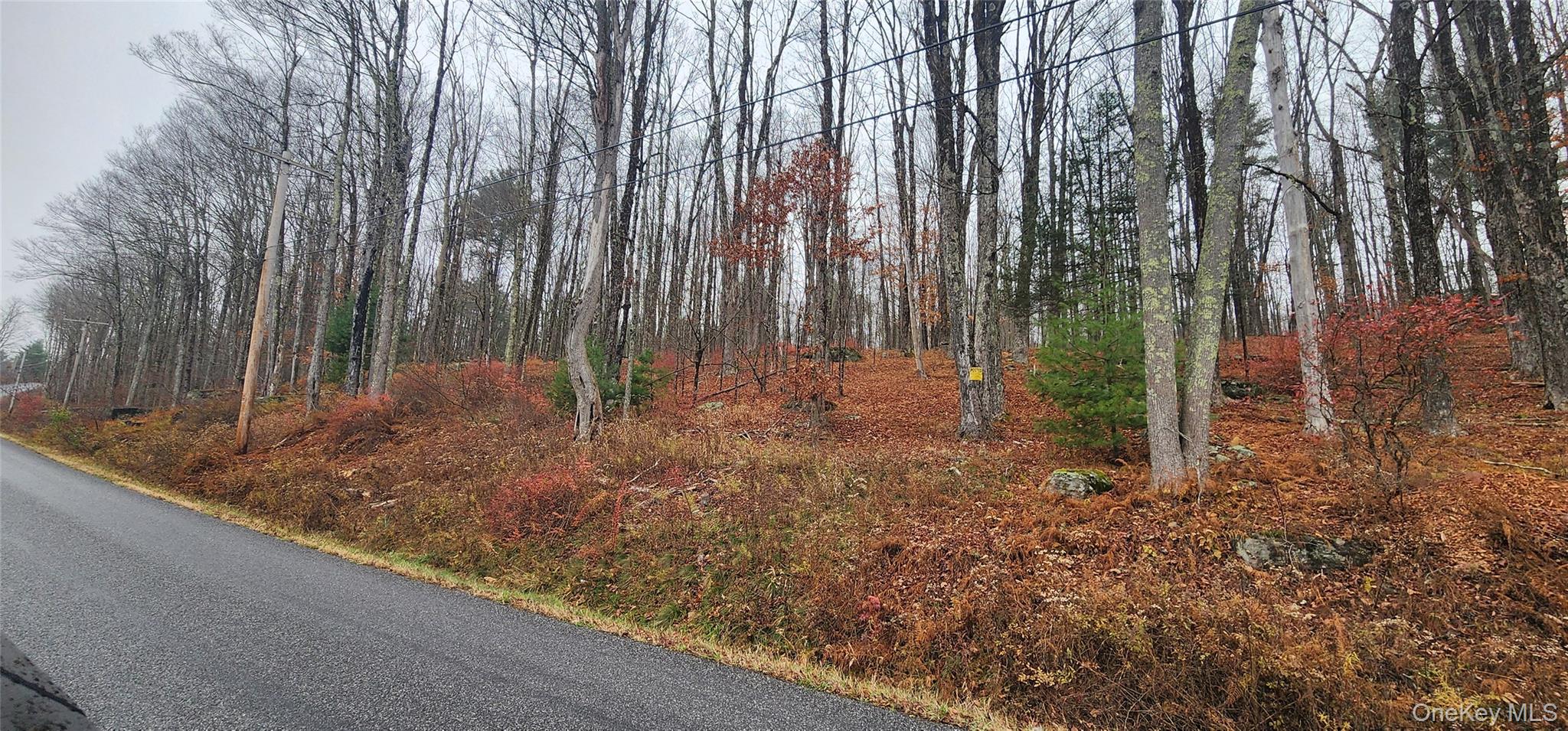 #10 photo, Thompson Road, Thompsonville , NY 12784