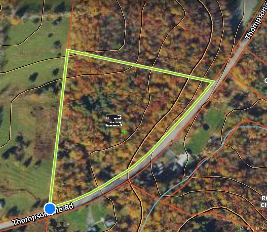 #11 photo, Thompson Road, Thompsonville , NY 12784