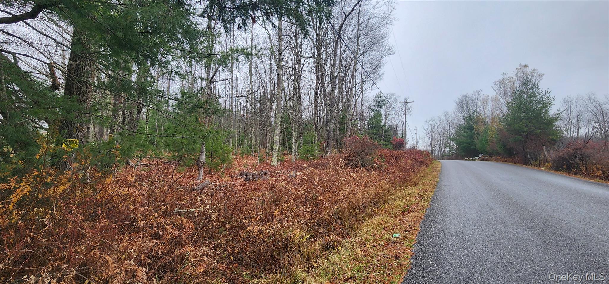 #2 photo, Thompson Road, Thompsonville , NY 12784