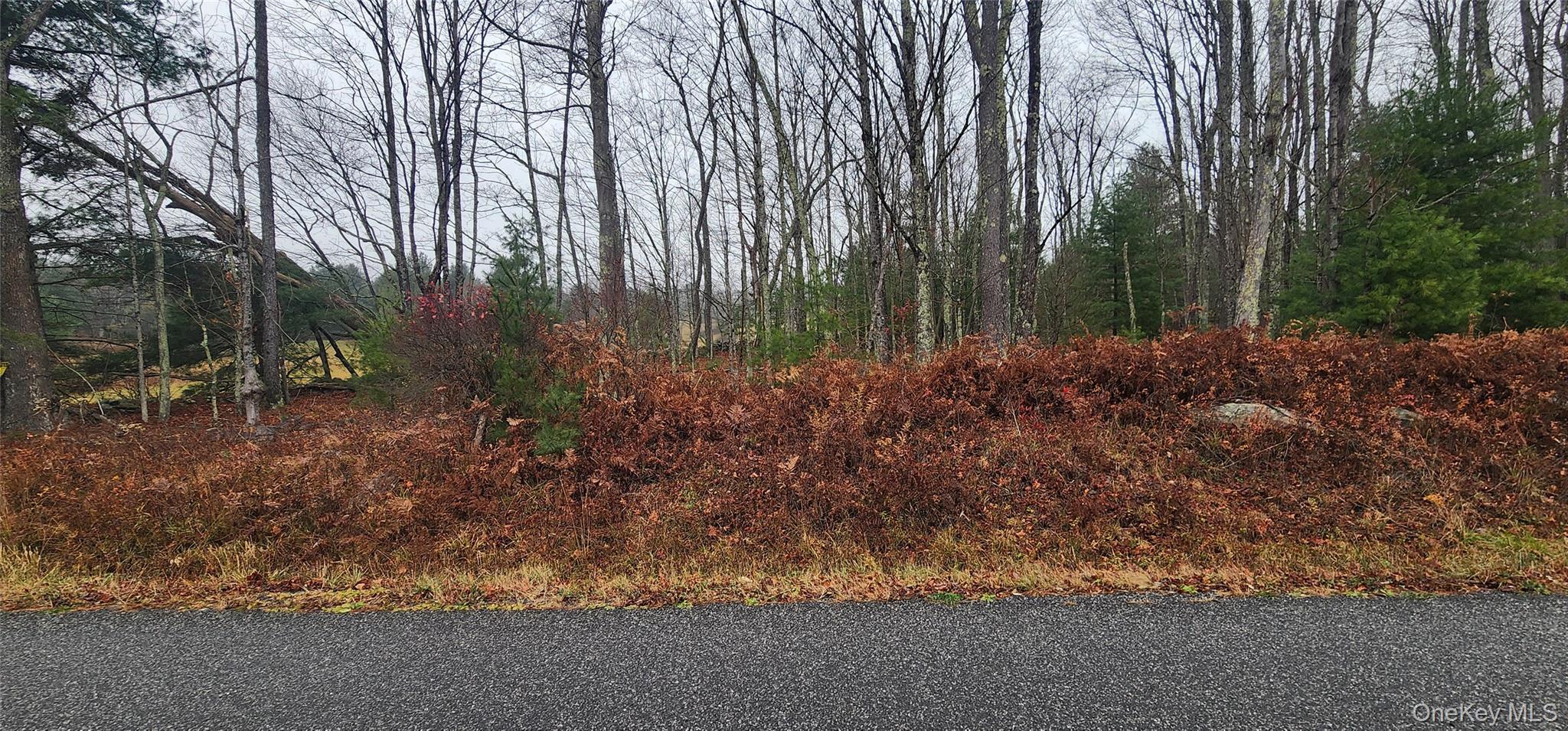 #3 photo, Thompson Road, Thompsonville , NY 12784