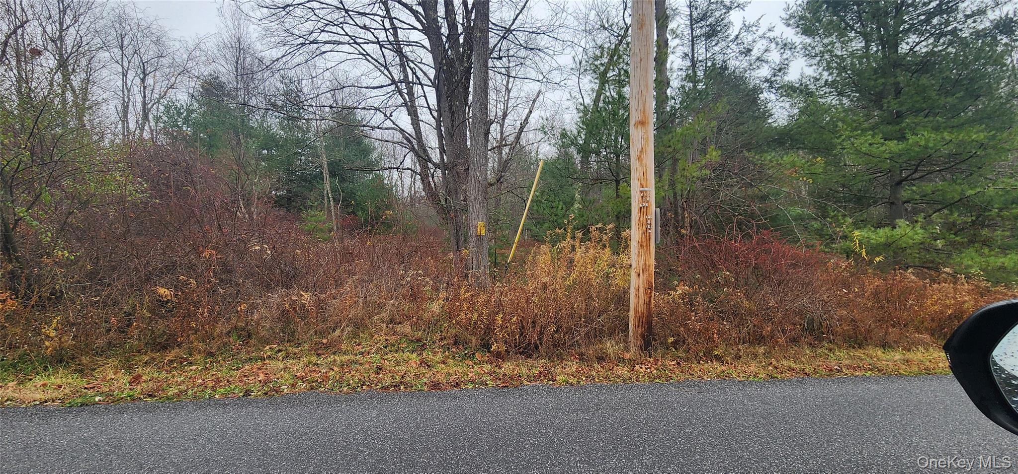 #4 photo, Thompson Road, Thompsonville , NY 12784