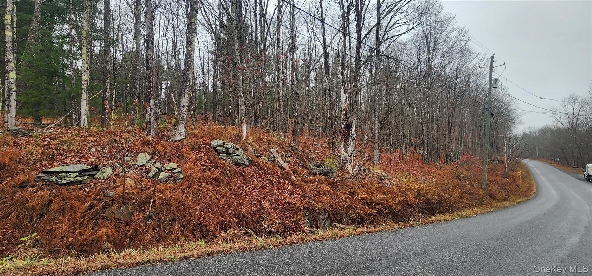 #5 photo, Thompson Road, Thompsonville , NY 12784