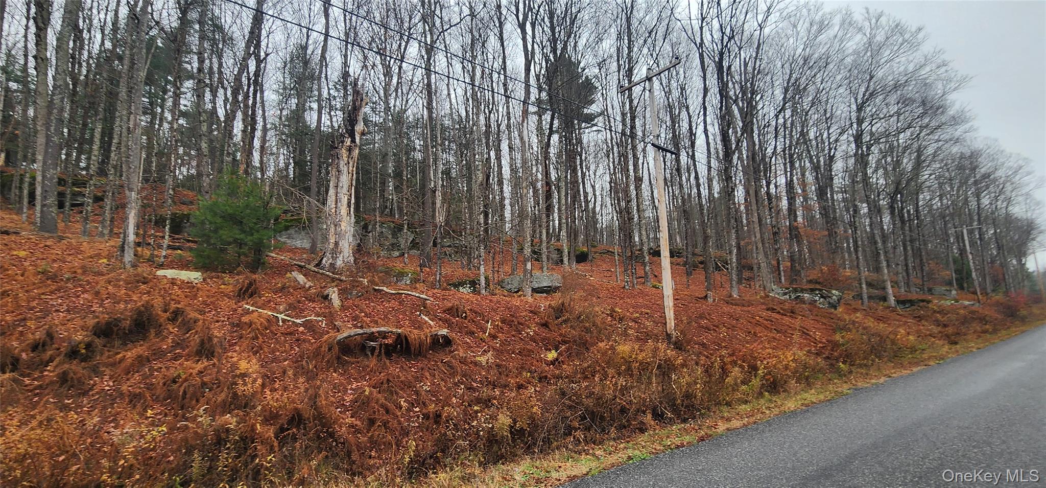 #6 photo, Thompson Road, Thompsonville , NY 12784