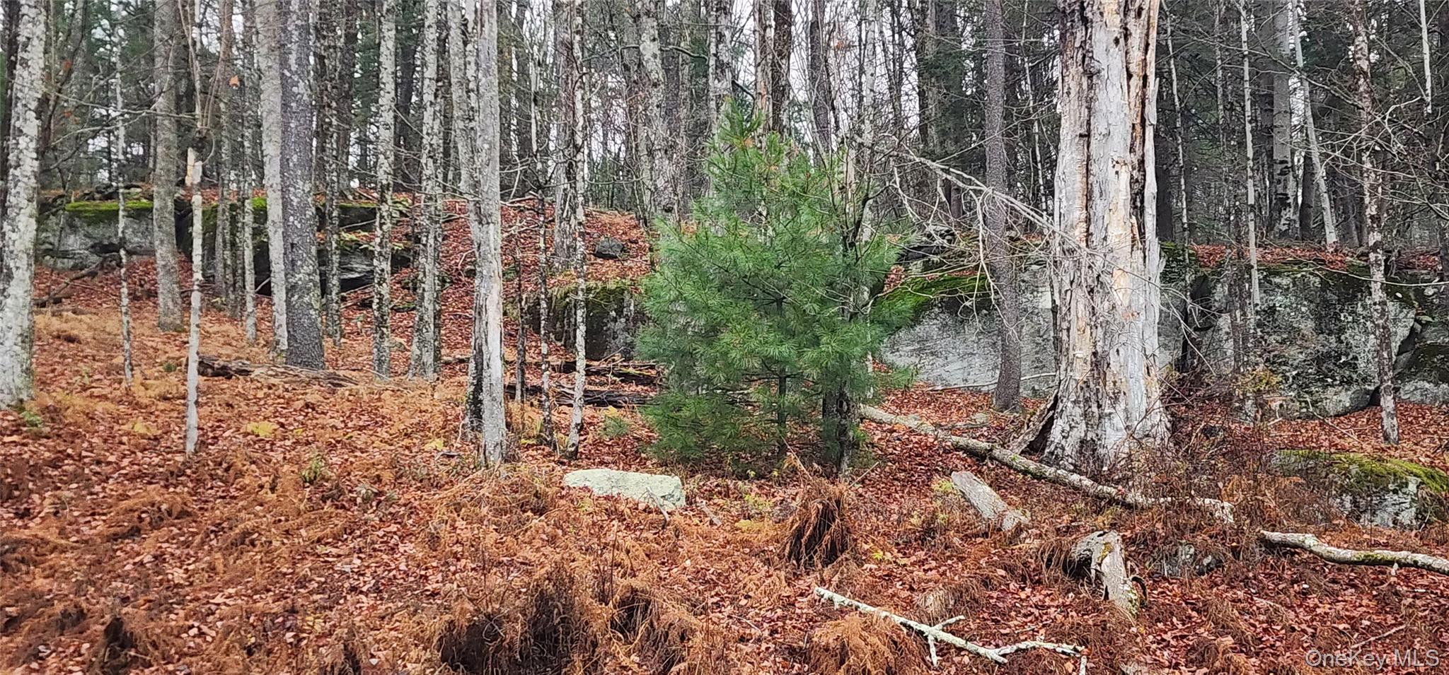 #7 photo, Thompson Road, Thompsonville , NY 12784