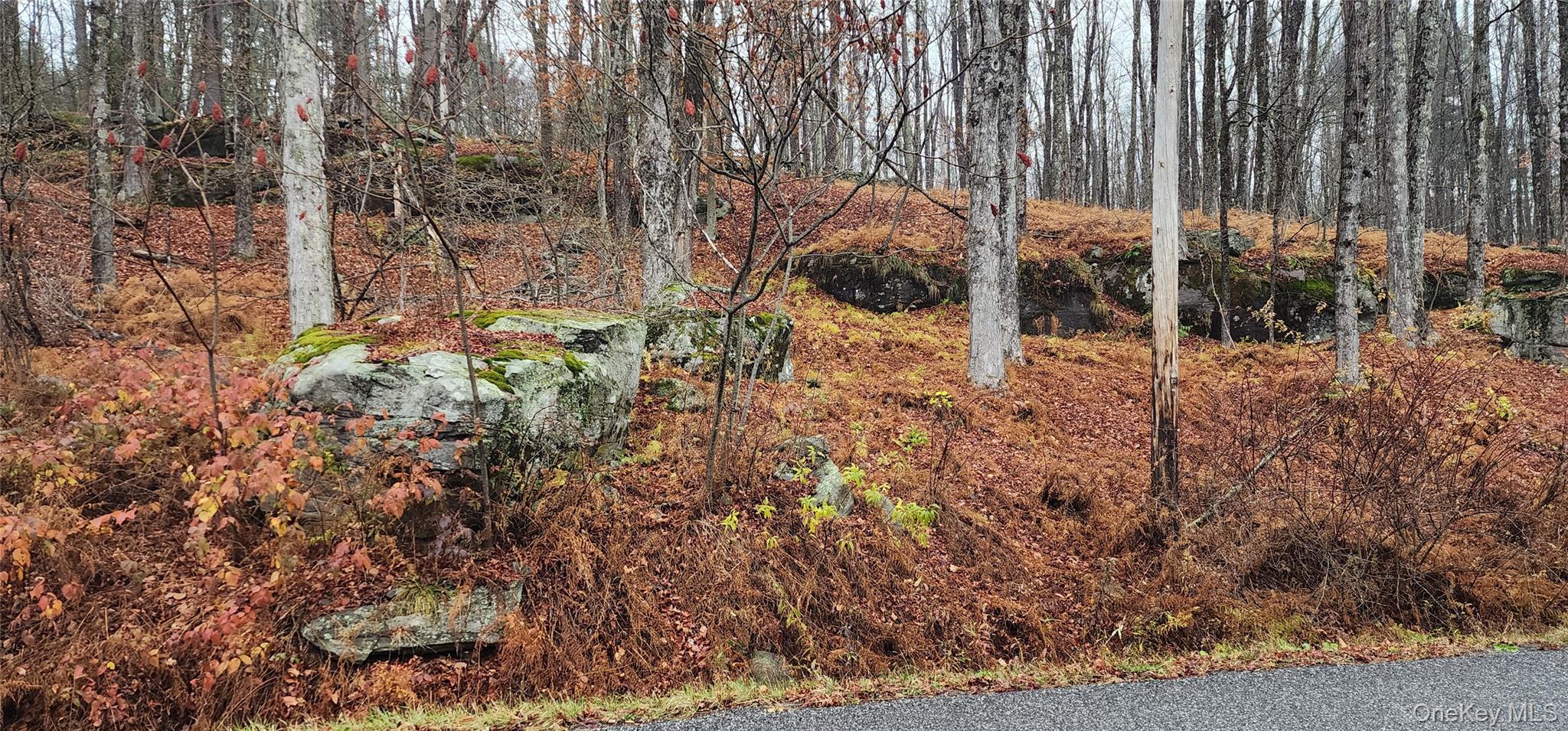 #8 photo, Thompson Road, Thompsonville , NY 12784