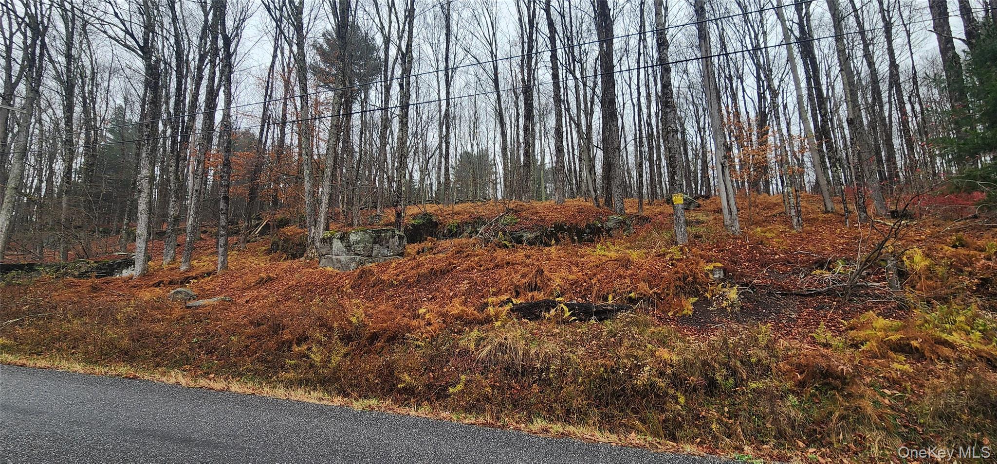 #9 photo, Thompson Road, Thompsonville , NY 12784