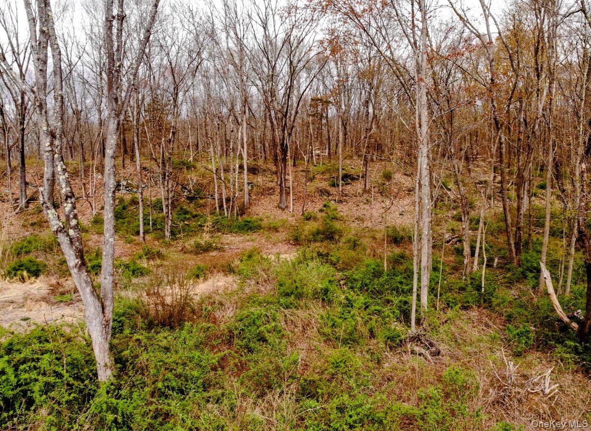 #2 photo, Wappingers Farm Estates, Lot 9, Robinson Lane, Wappingers Falls , NY 12590