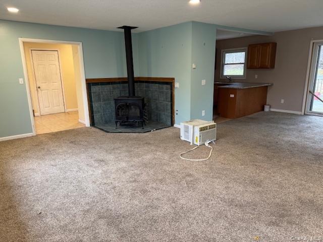 #9 photo, 259 Kingston Avenue, Wurtsboro , NY 12790