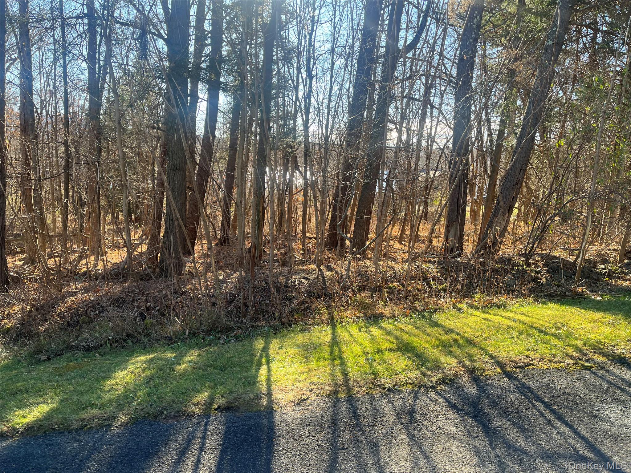 #1 photo, 12 Pioneert, Copake , NY 12516