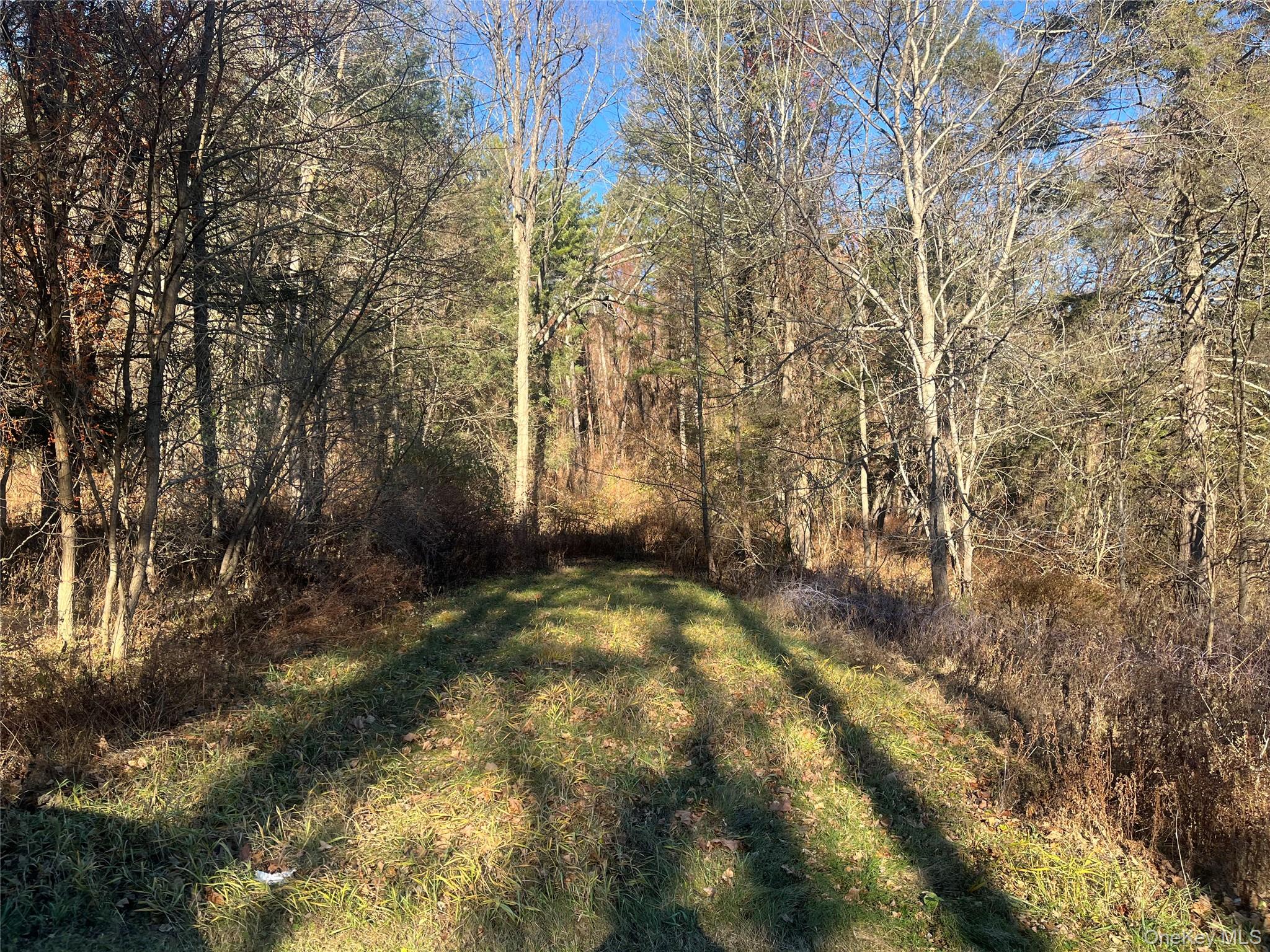 #2 photo, 12 Pioneert, Copake , NY 12516