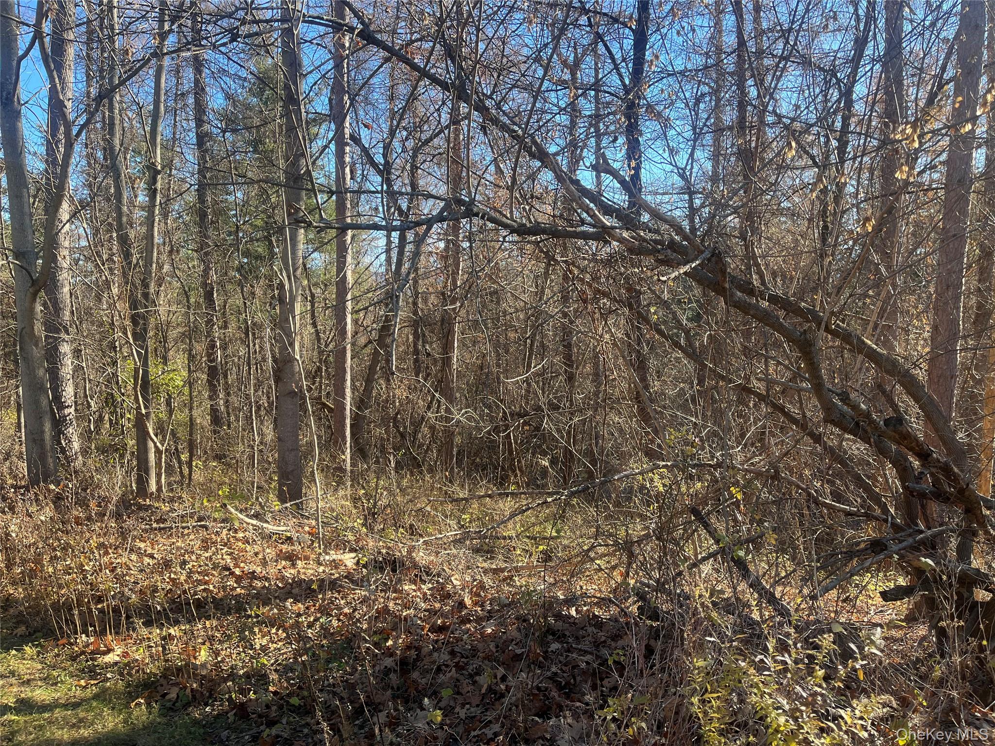 #3 photo, 12 Pioneert, Copake , NY 12516