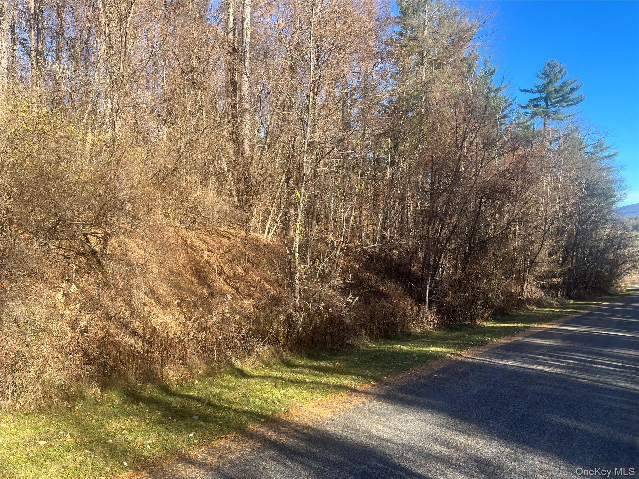 #5 photo, 12 Pioneert, Copake , NY 12516