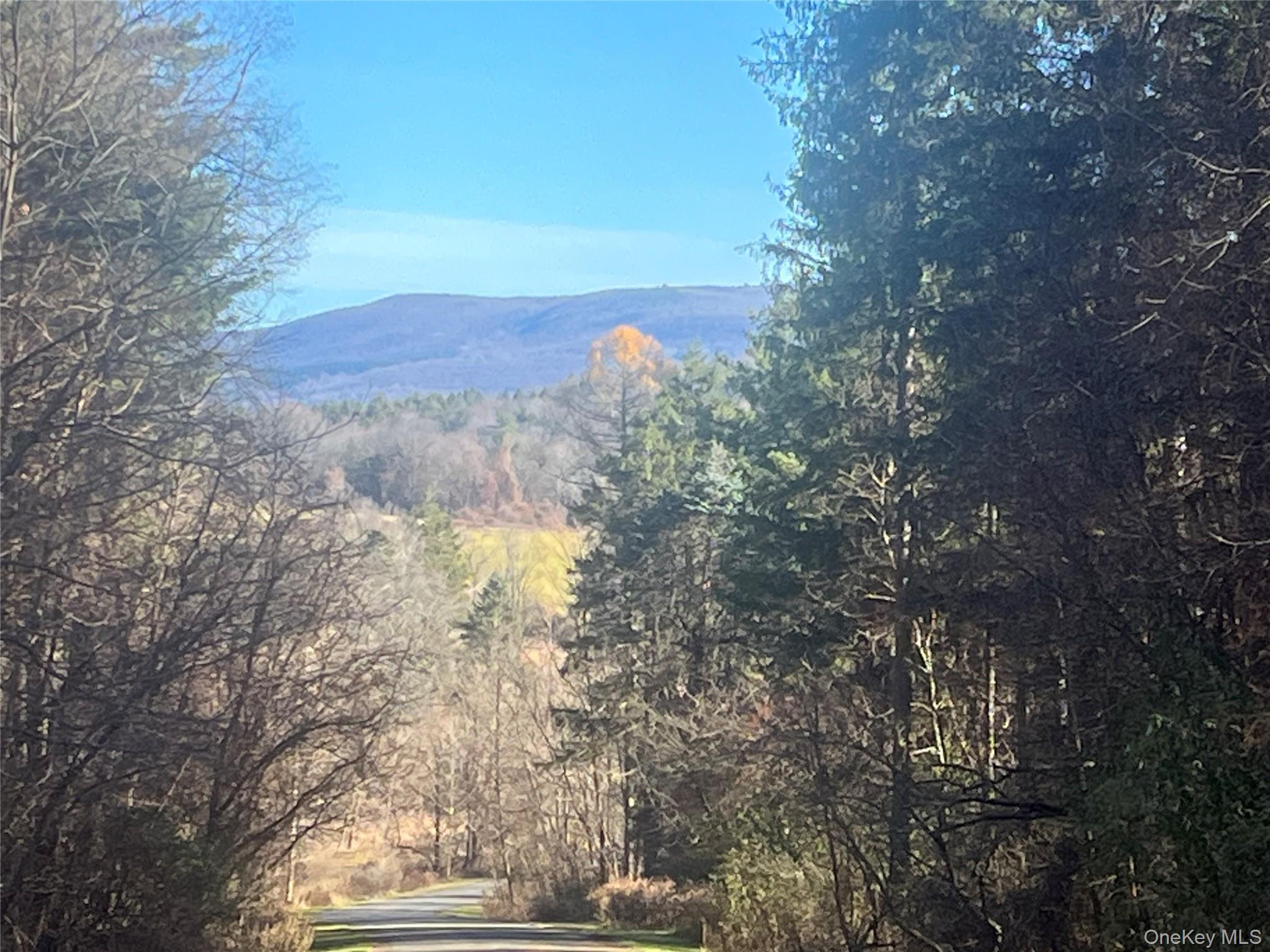 #6 photo, 12 Pioneert, Copake , NY 12516