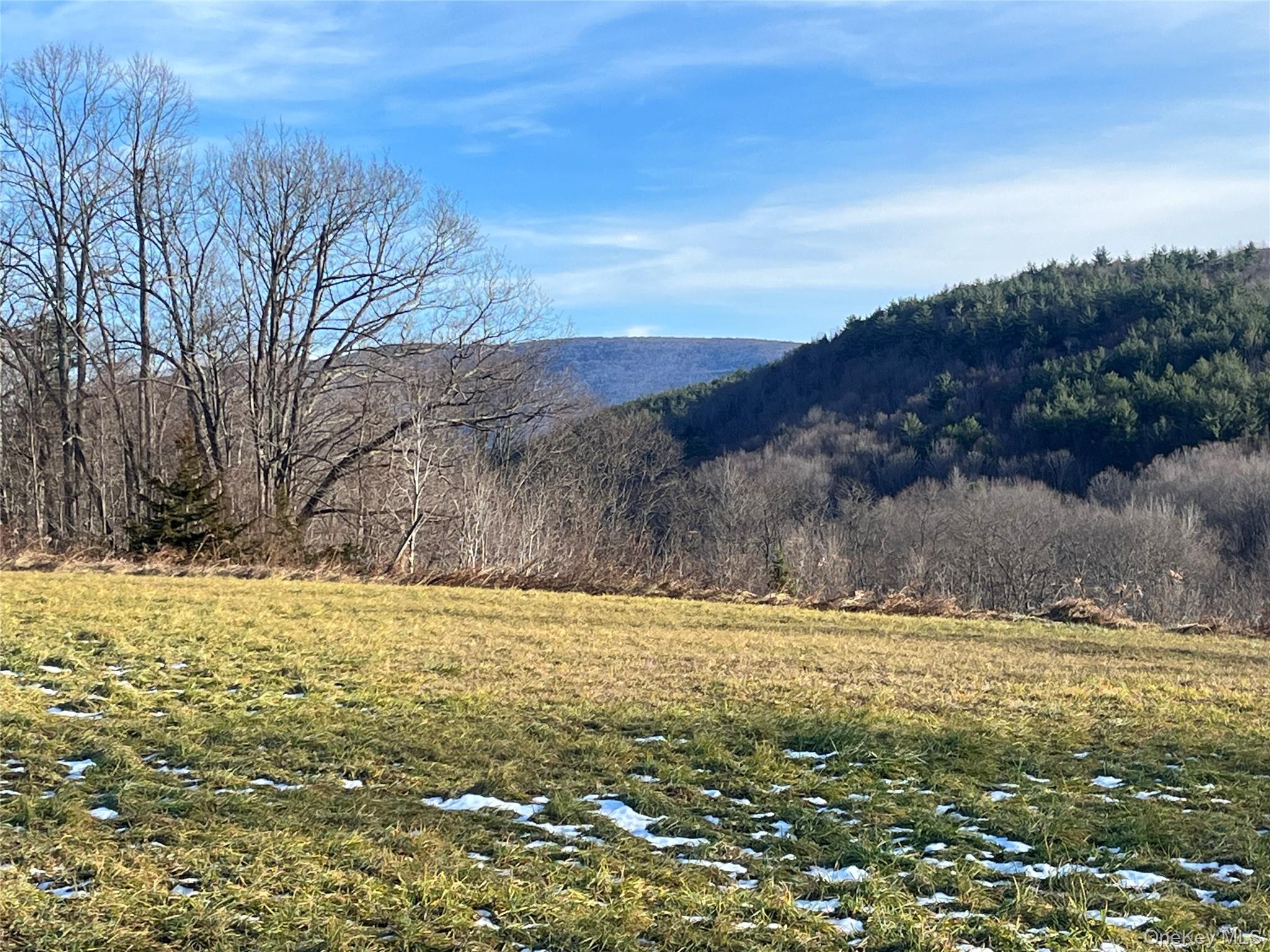 #9 photo, 12 Pioneert, Copake , NY 12516