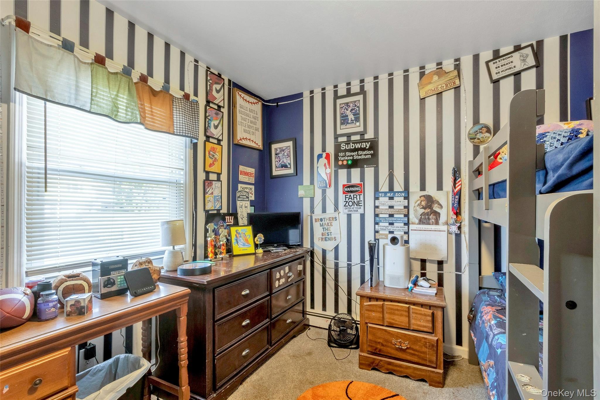 #10 photo, 11 High Court, Poughkeepsie , NY 12603