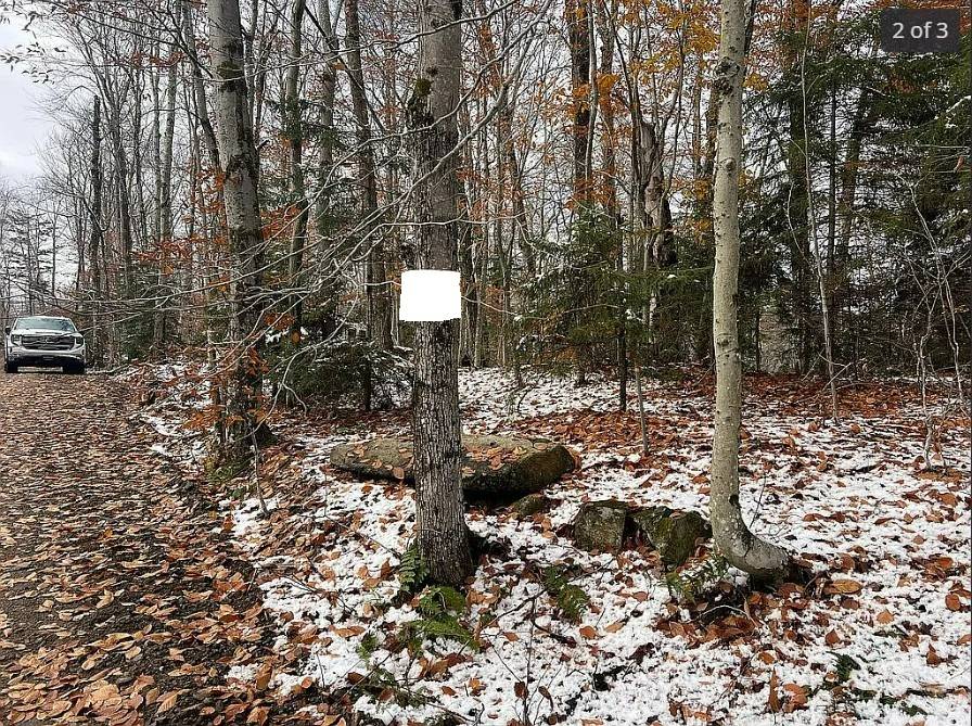 #6 photo, 1 PALISADES RD. WEST, OLD FORGE , NY 13420