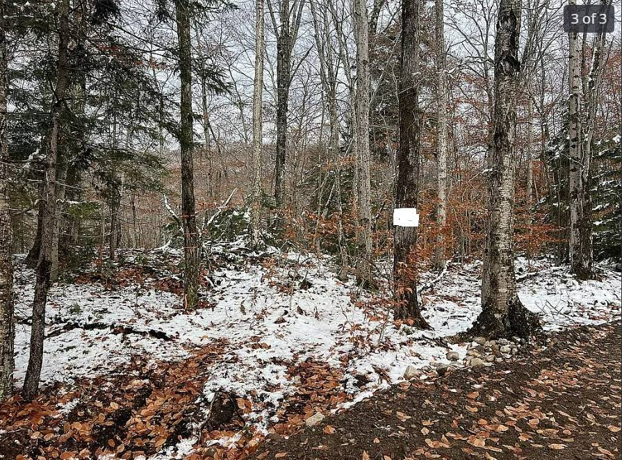 #7 photo, 1 PALISADES RD. WEST, OLD FORGE , NY 13420