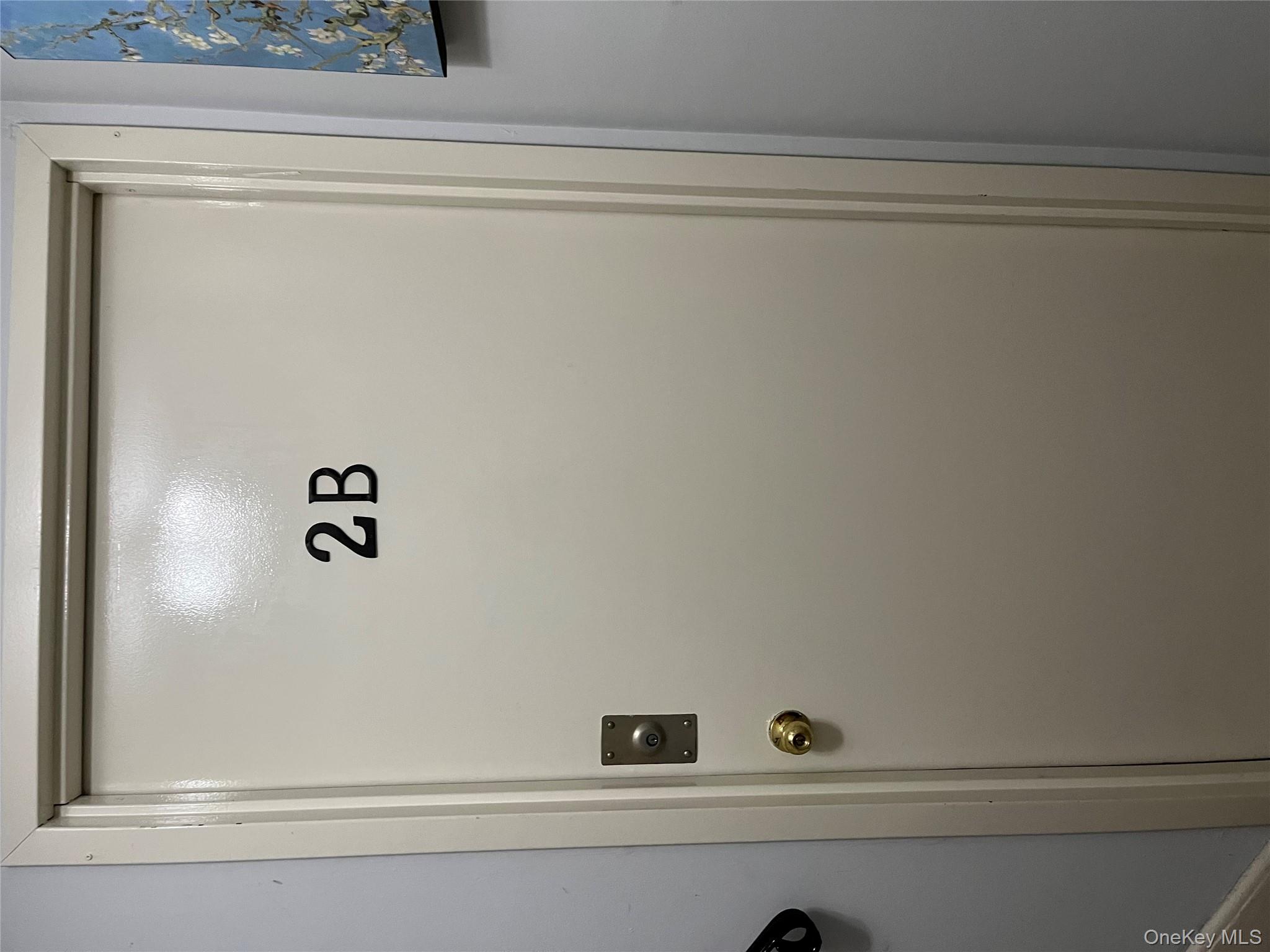 #14 photo, 410 Jericho Turnpike, New Hyde Park , NY 11040