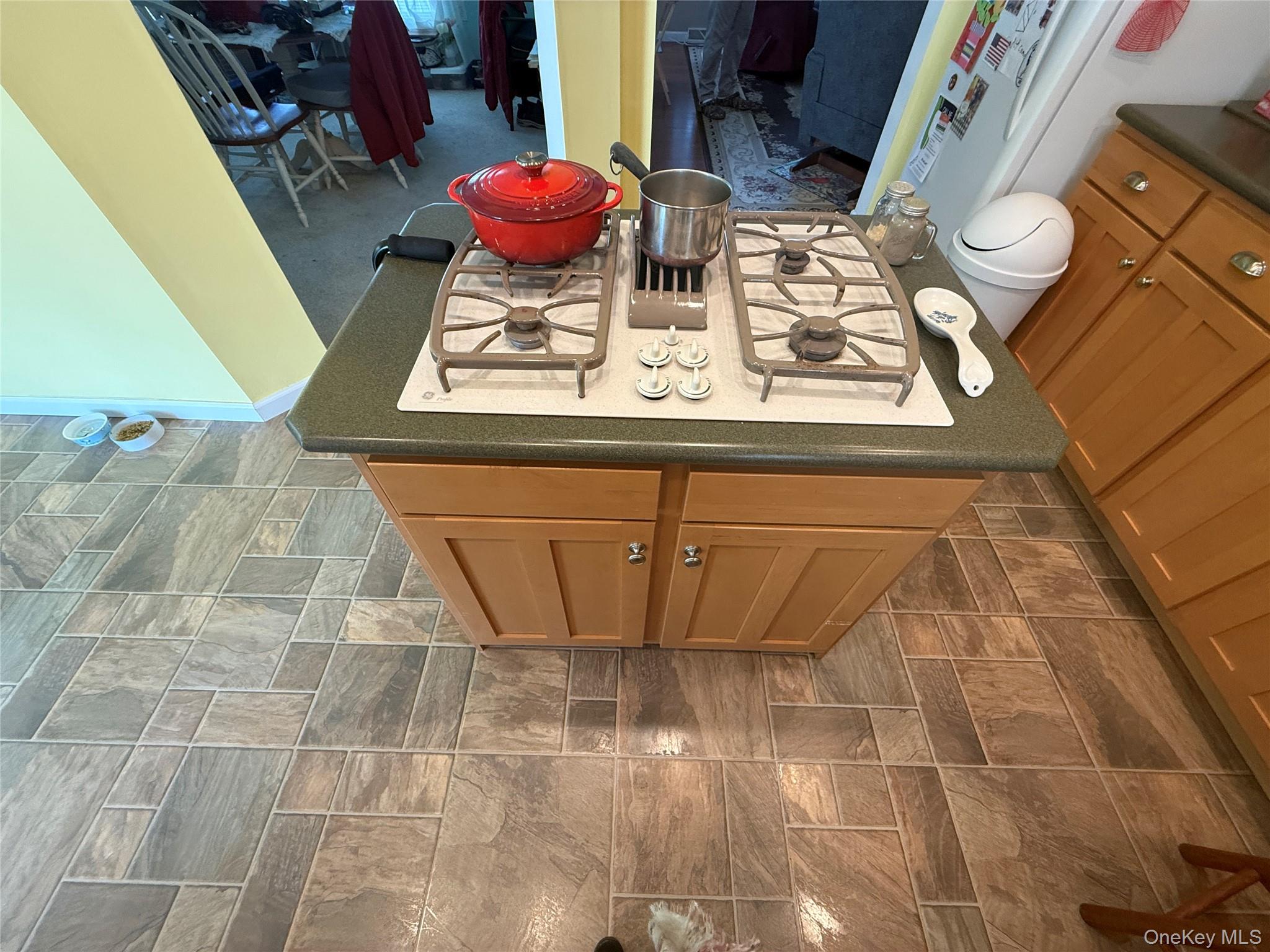 #15 photo, 312 Brittany Terrace, Rock Tavern , NY 12575