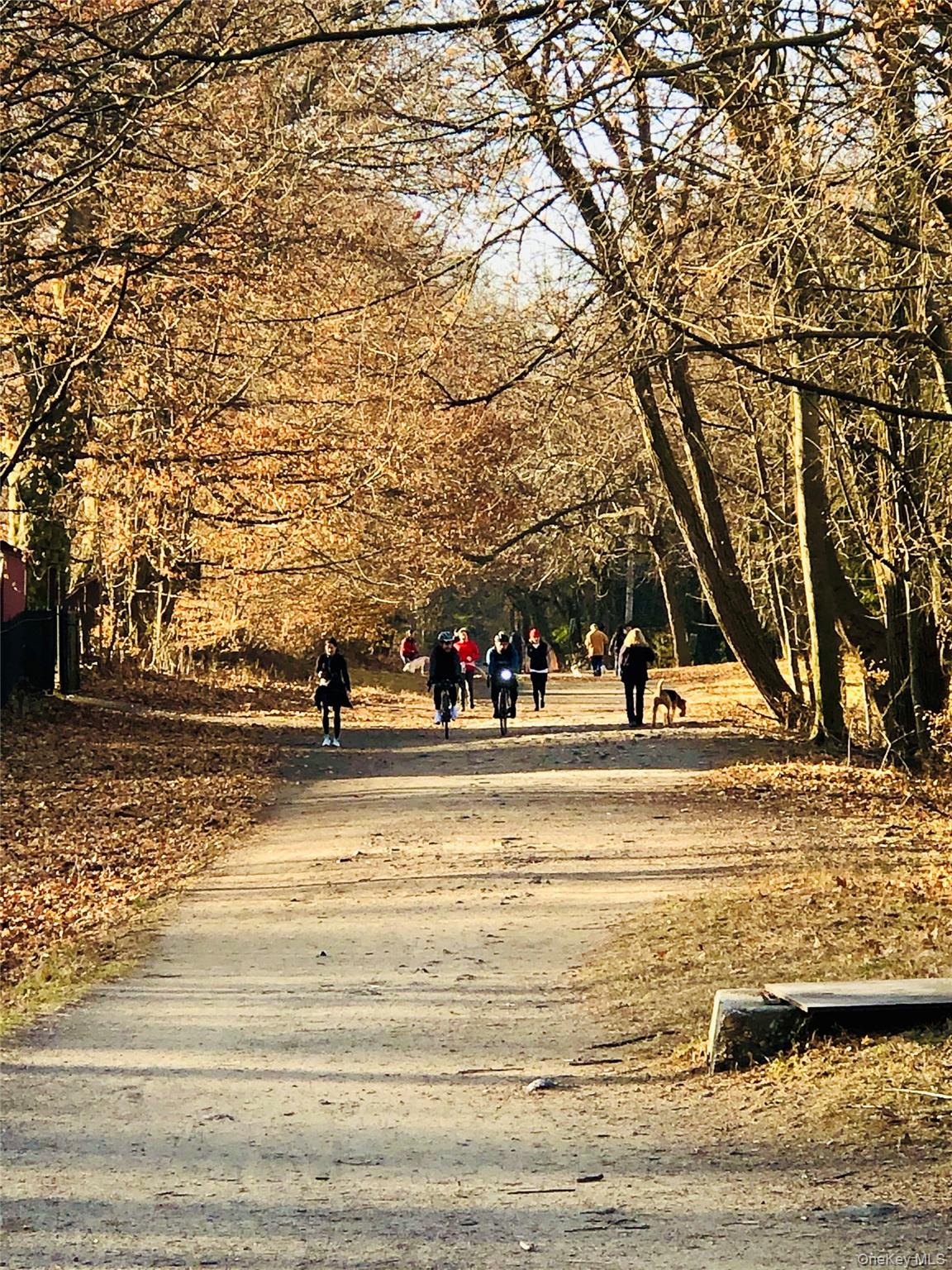 #14 photo, 235 S Buckhout Street, Irvington , NY 10533