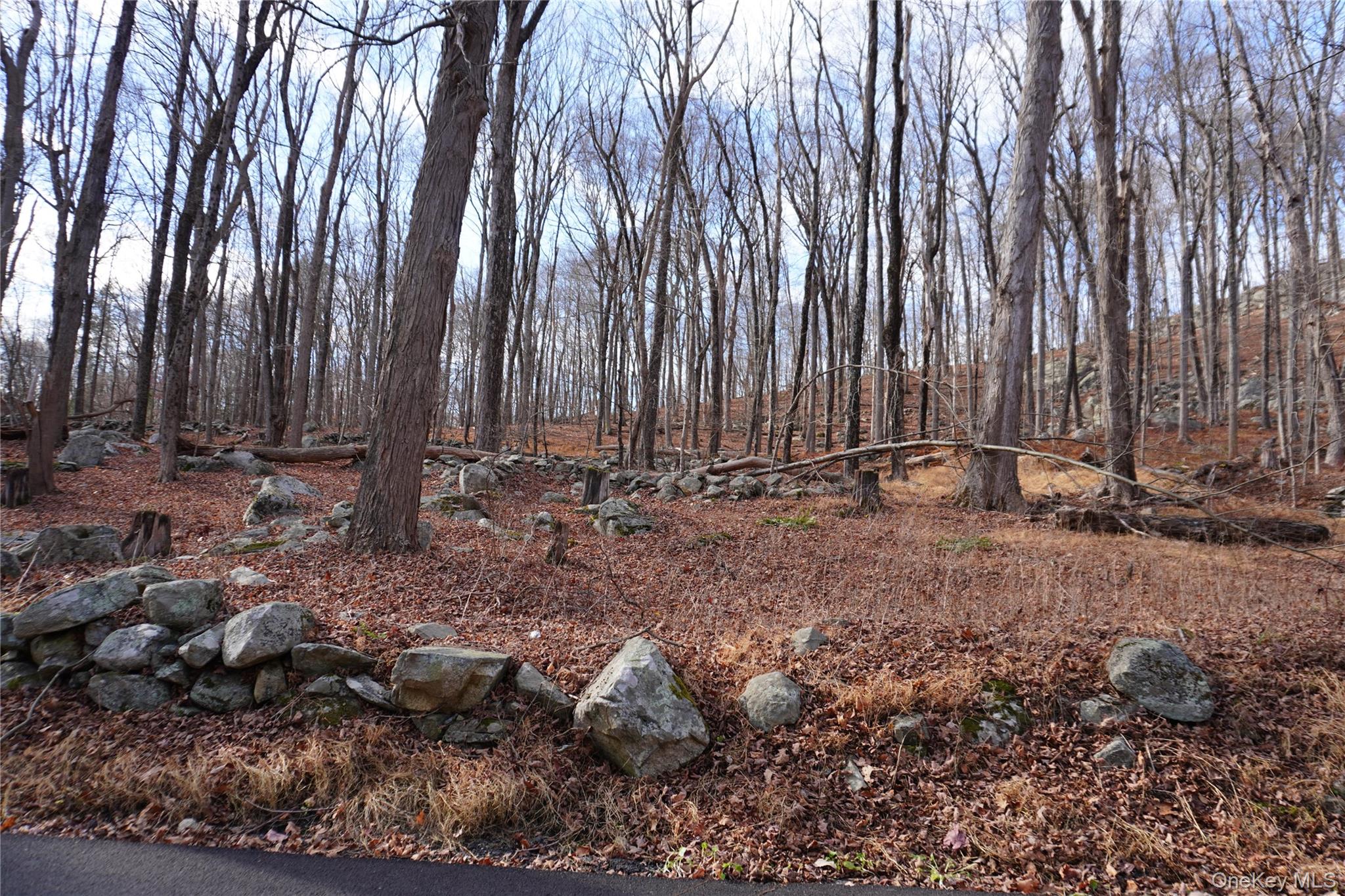 #1 photo, Knapp Court, Carmel , NY 10512