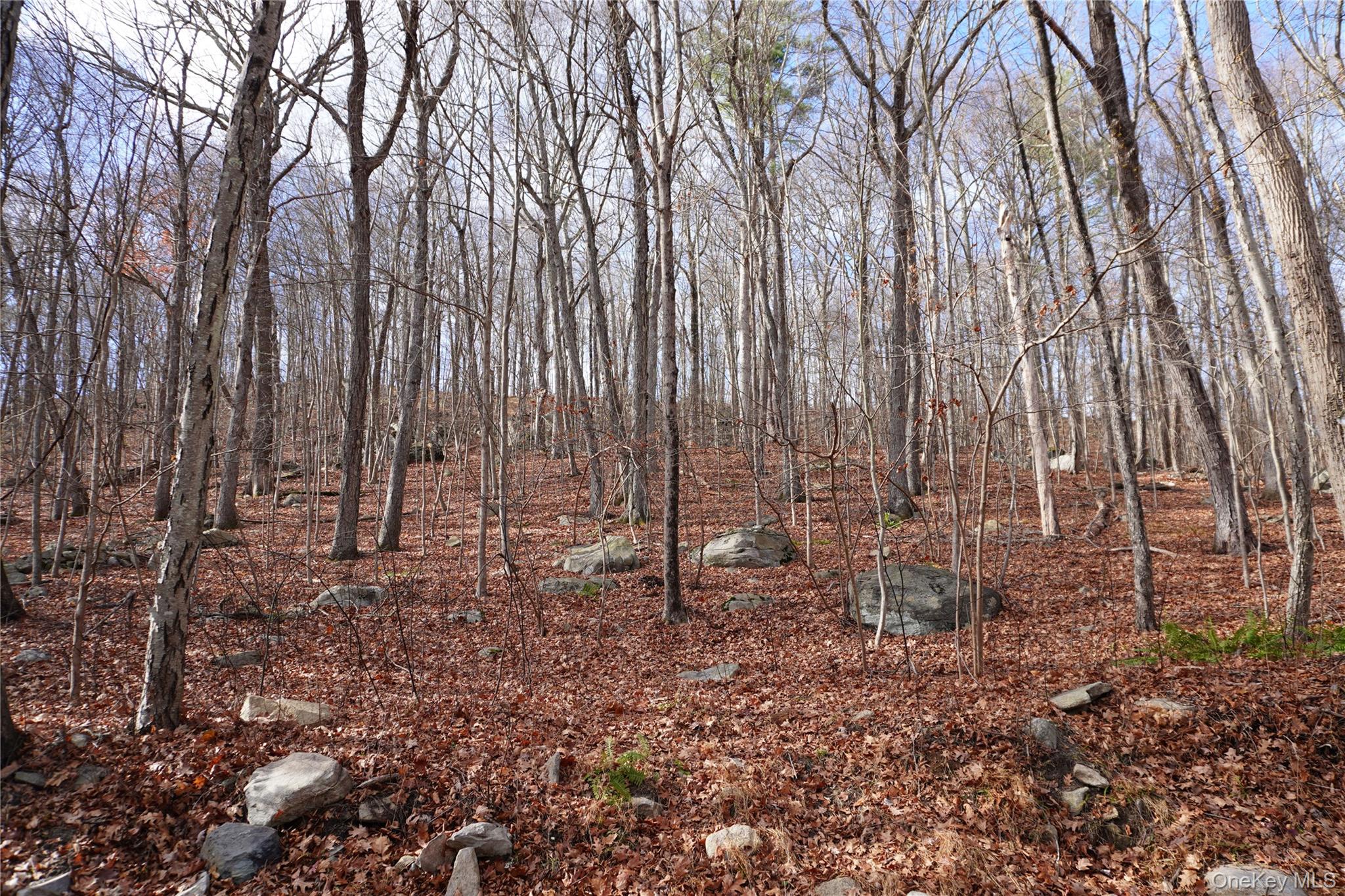 #2 photo, Knapp Court, Carmel , NY 10512