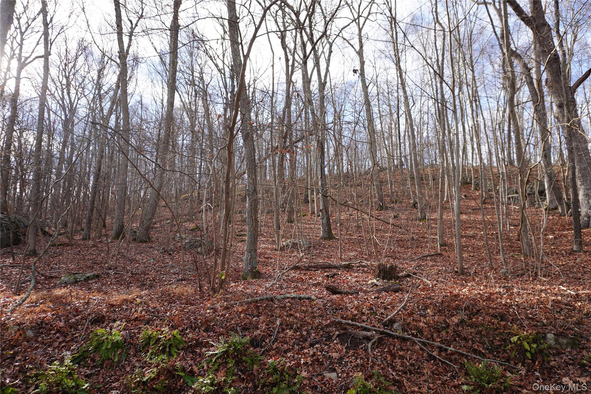 #3 photo, Knapp Court, Carmel , NY 10512