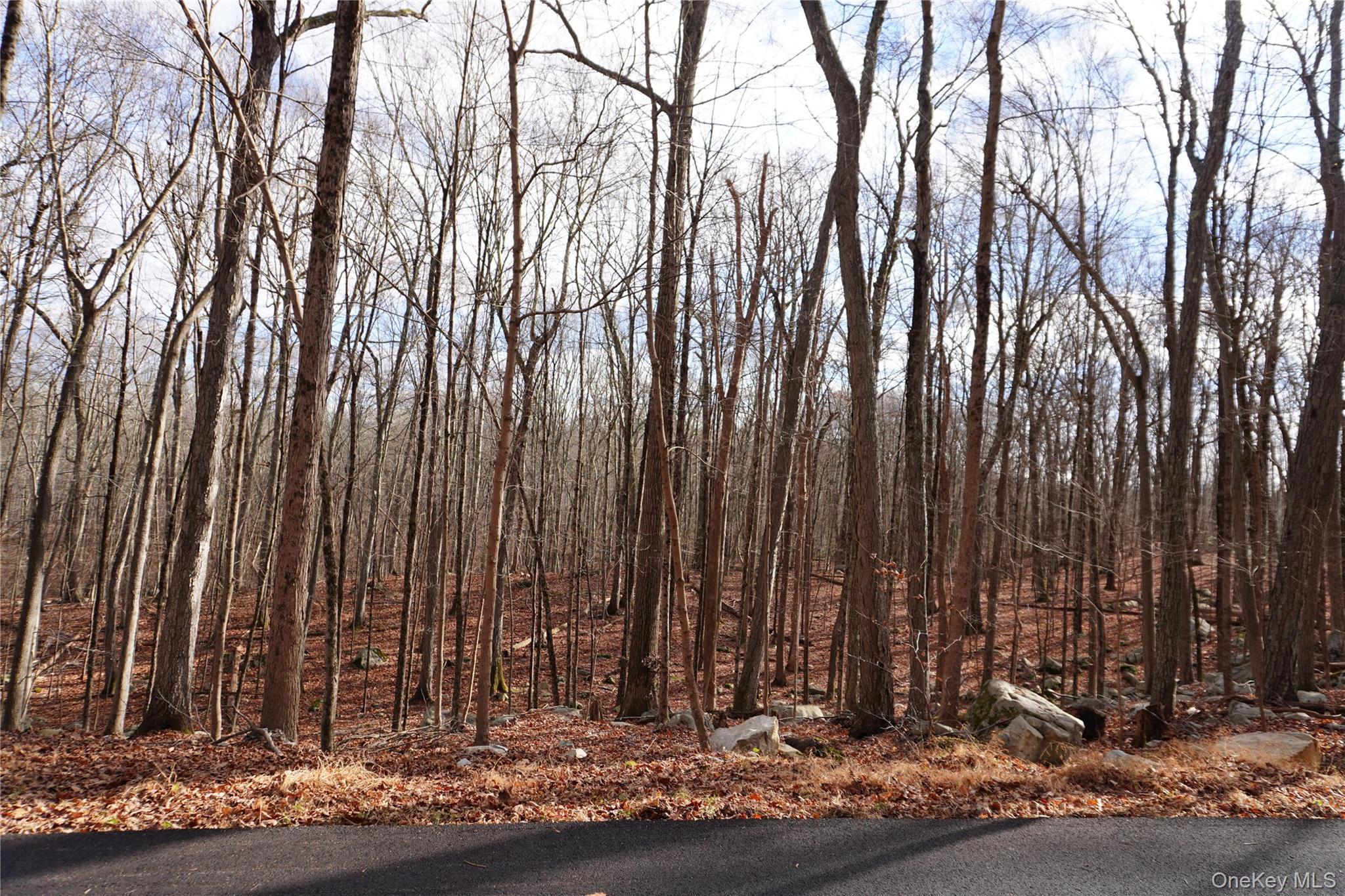 #2 photo, Route 301 Rt-301, Carmel , NY 10512