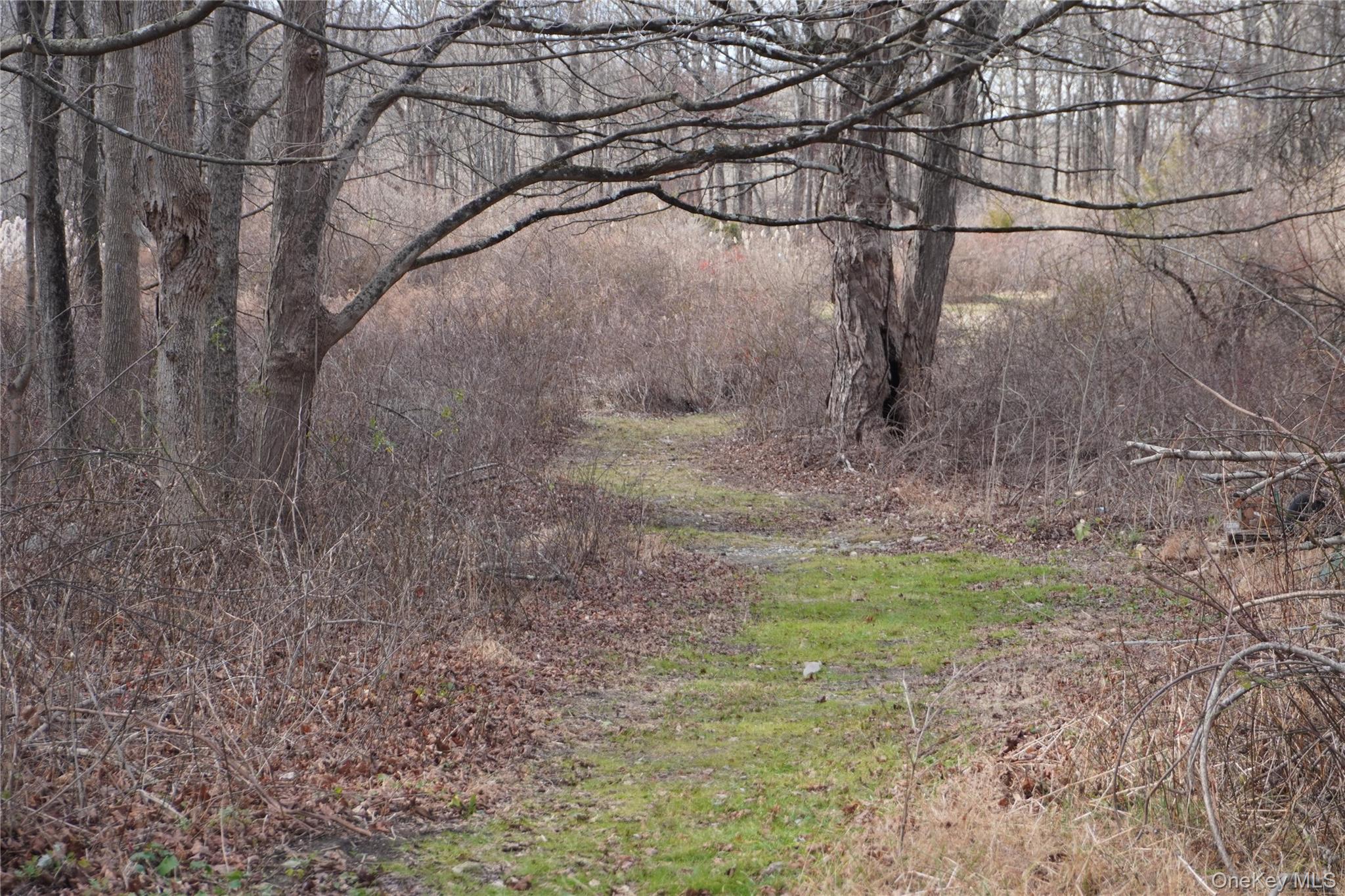 #3 photo, Route 301 Rt-301, Carmel , NY 10512