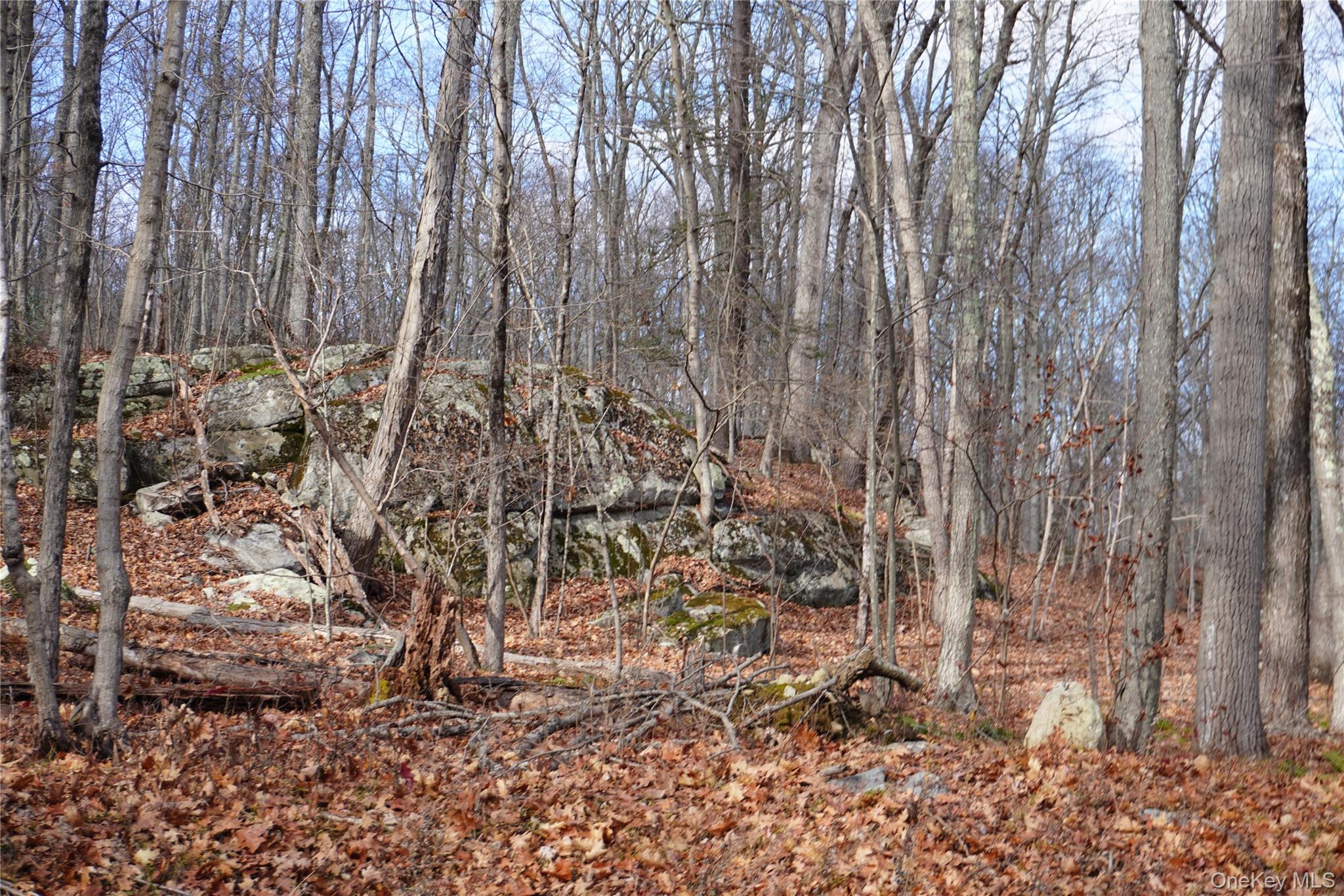 #4 photo, Route 301 Rt-301, Carmel , NY 10512