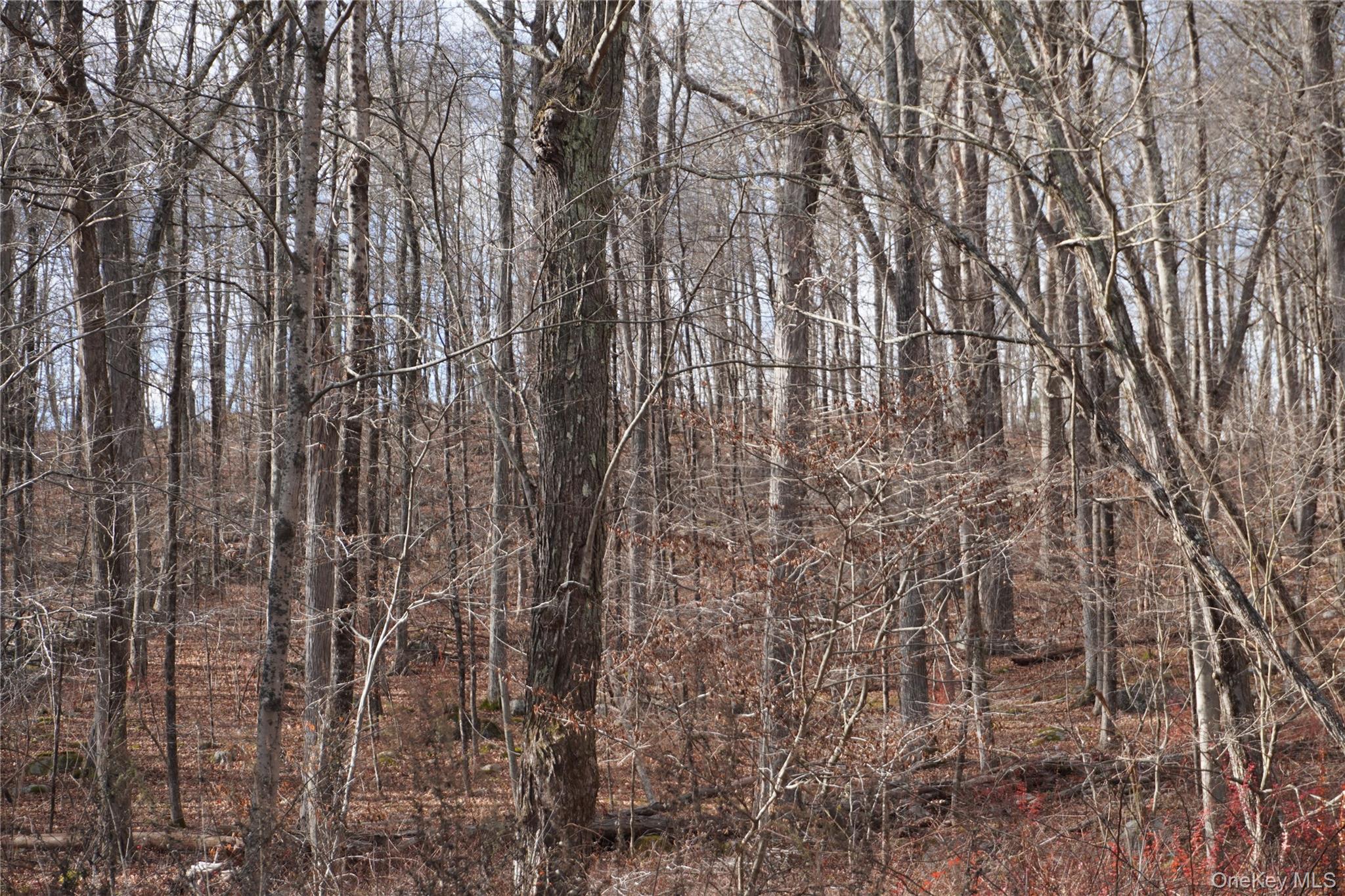 #5 photo, Route 301 Rt-301, Carmel , NY 10512