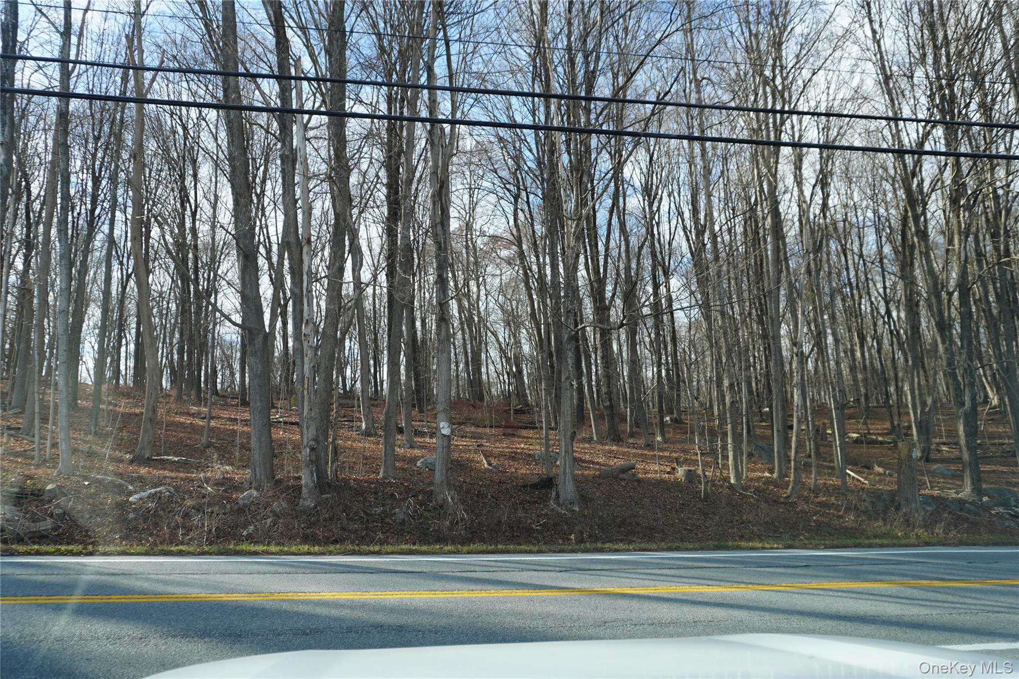 #1 photo, Rt-301, Carmel , NY 10512