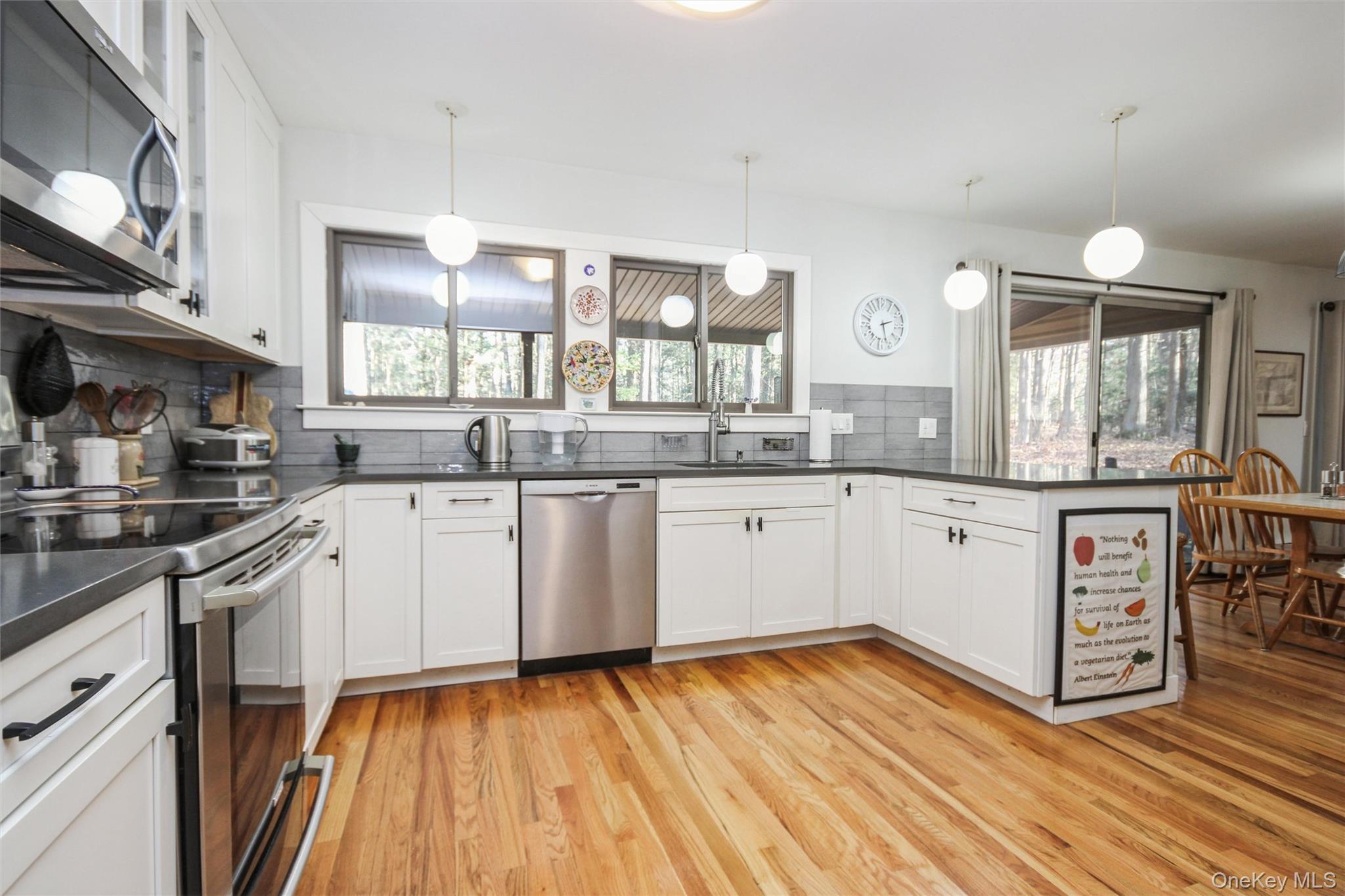 #8 photo, 5 Van Court, Hyde Park , NY 12538