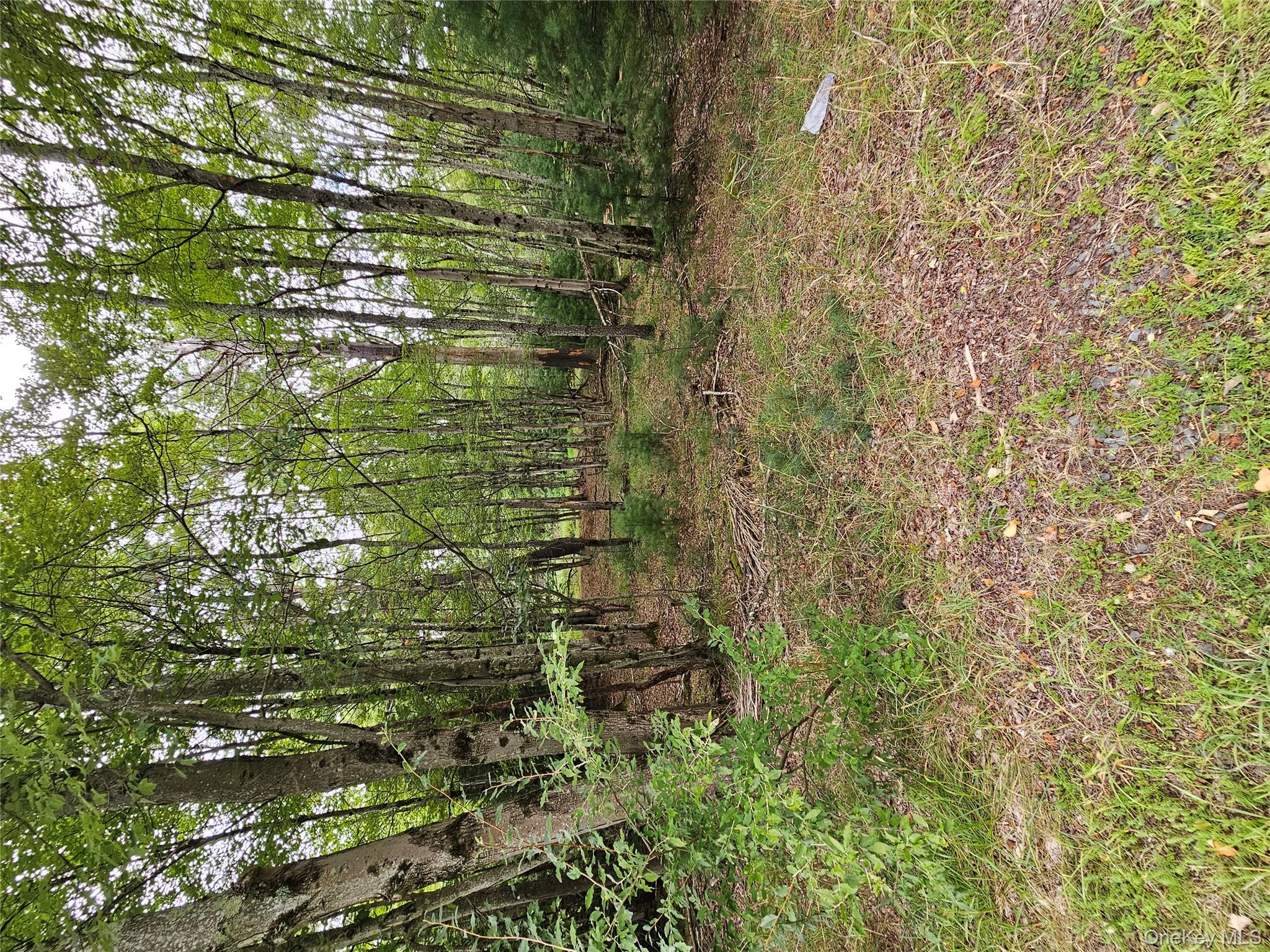 #19 photo, 3624 State Route 55, Kauneonga Lake , NY 12720