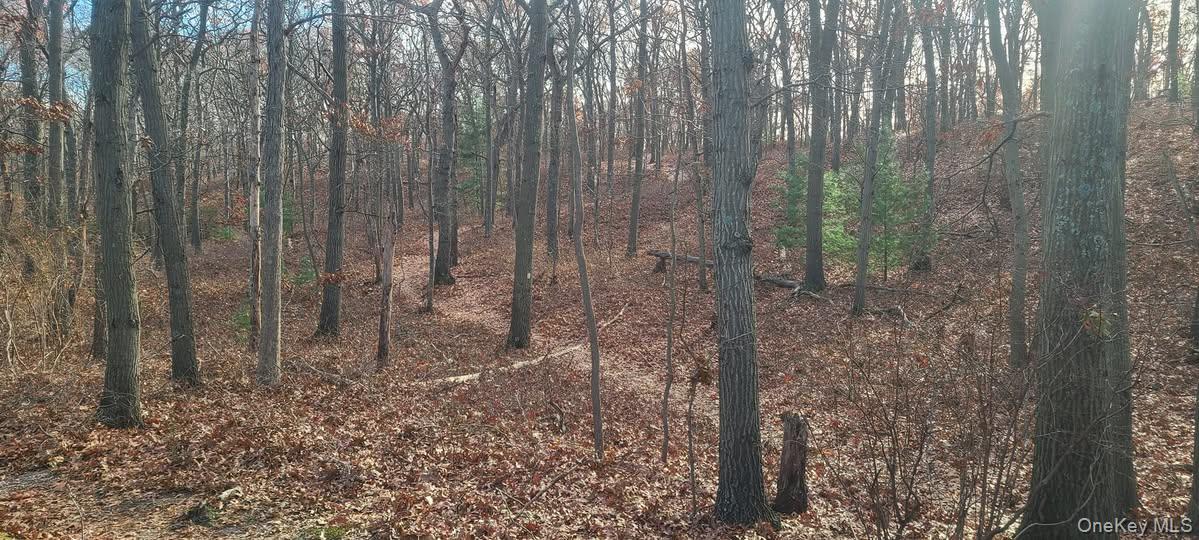 #15 photo, 143 Walter Avenue, Hauppauge , NY 11788