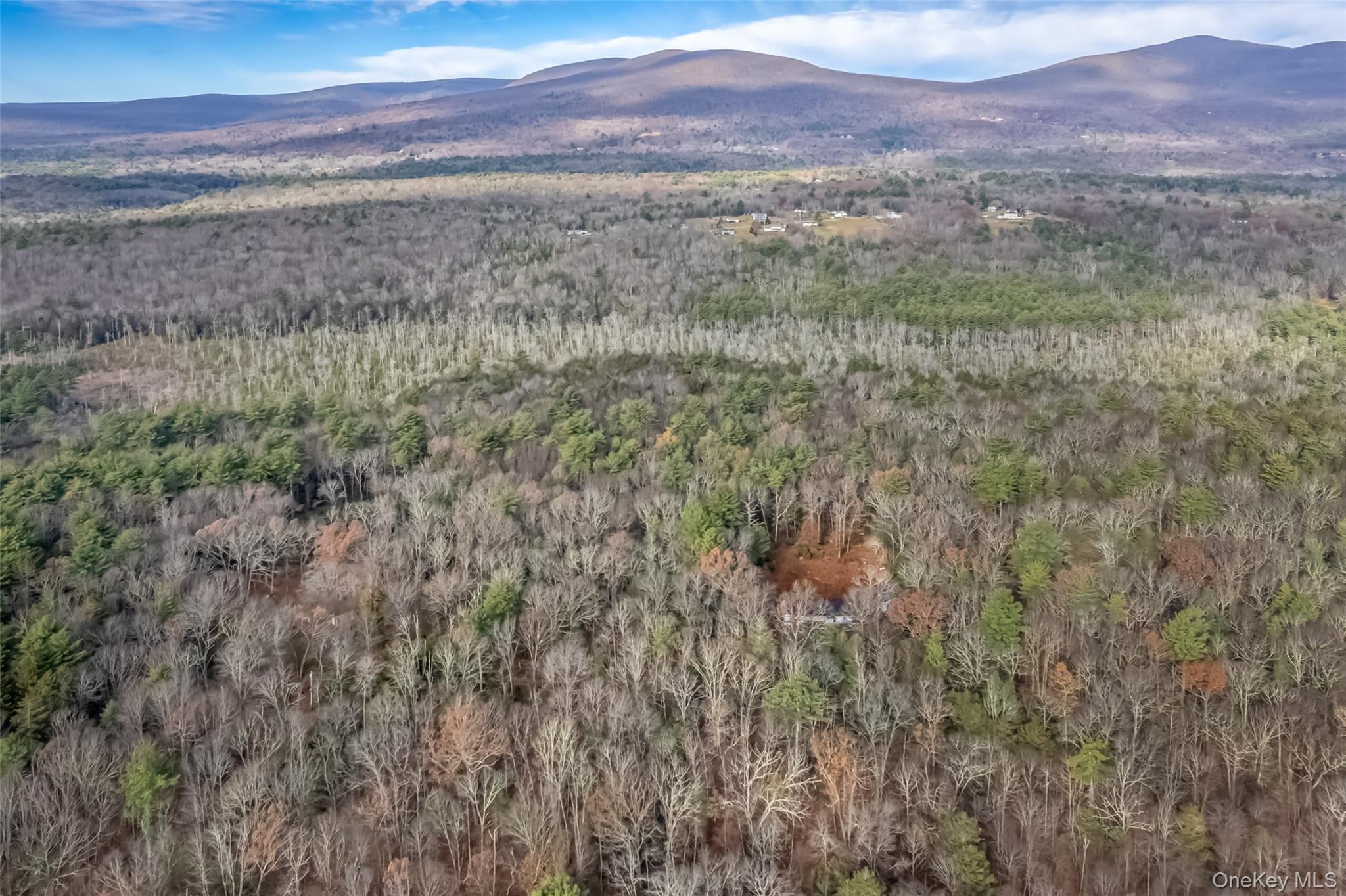 #1 photo, 196 Brown Road, Olivebridge , NY 12461