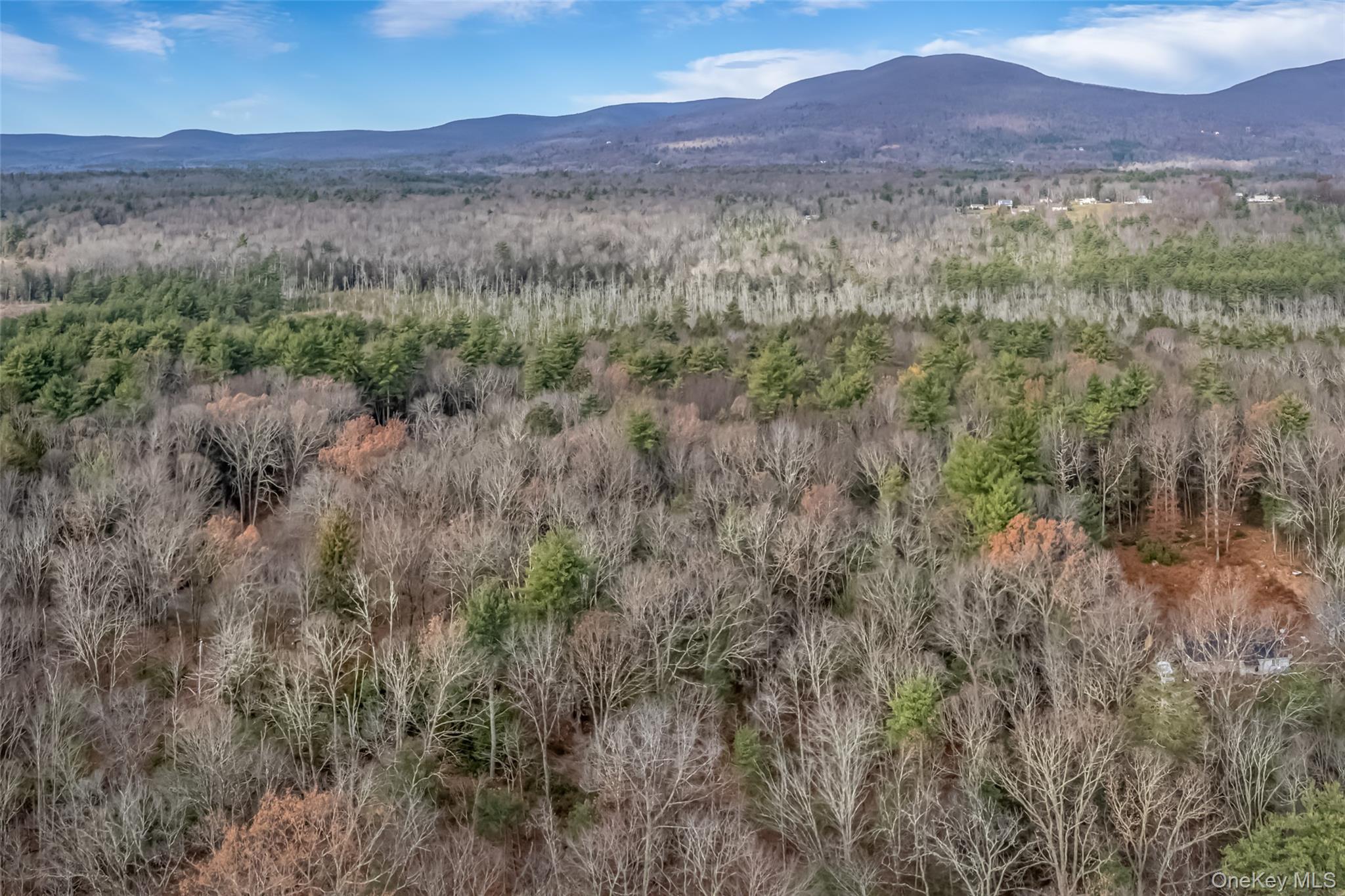 #13 photo, 196 Brown Road, Olivebridge , NY 12461