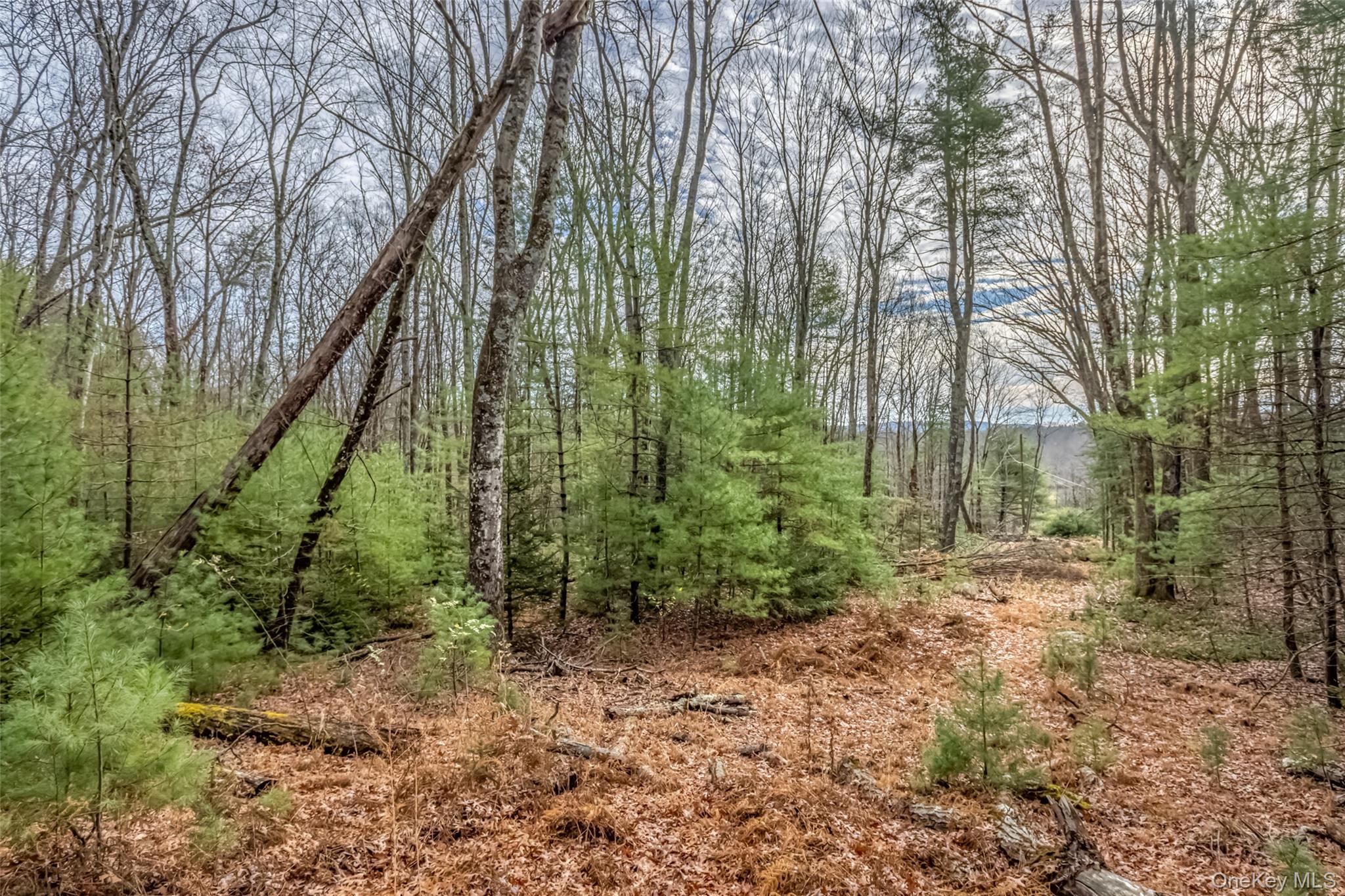 #15 photo, 196 Brown Road, Olivebridge , NY 12461