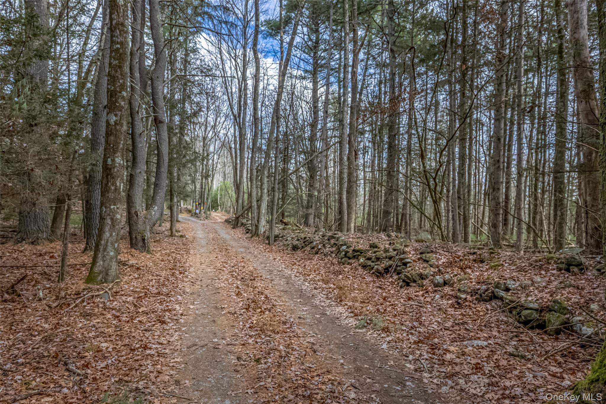 #16 photo, 196 Brown Road, Olivebridge , NY 12461