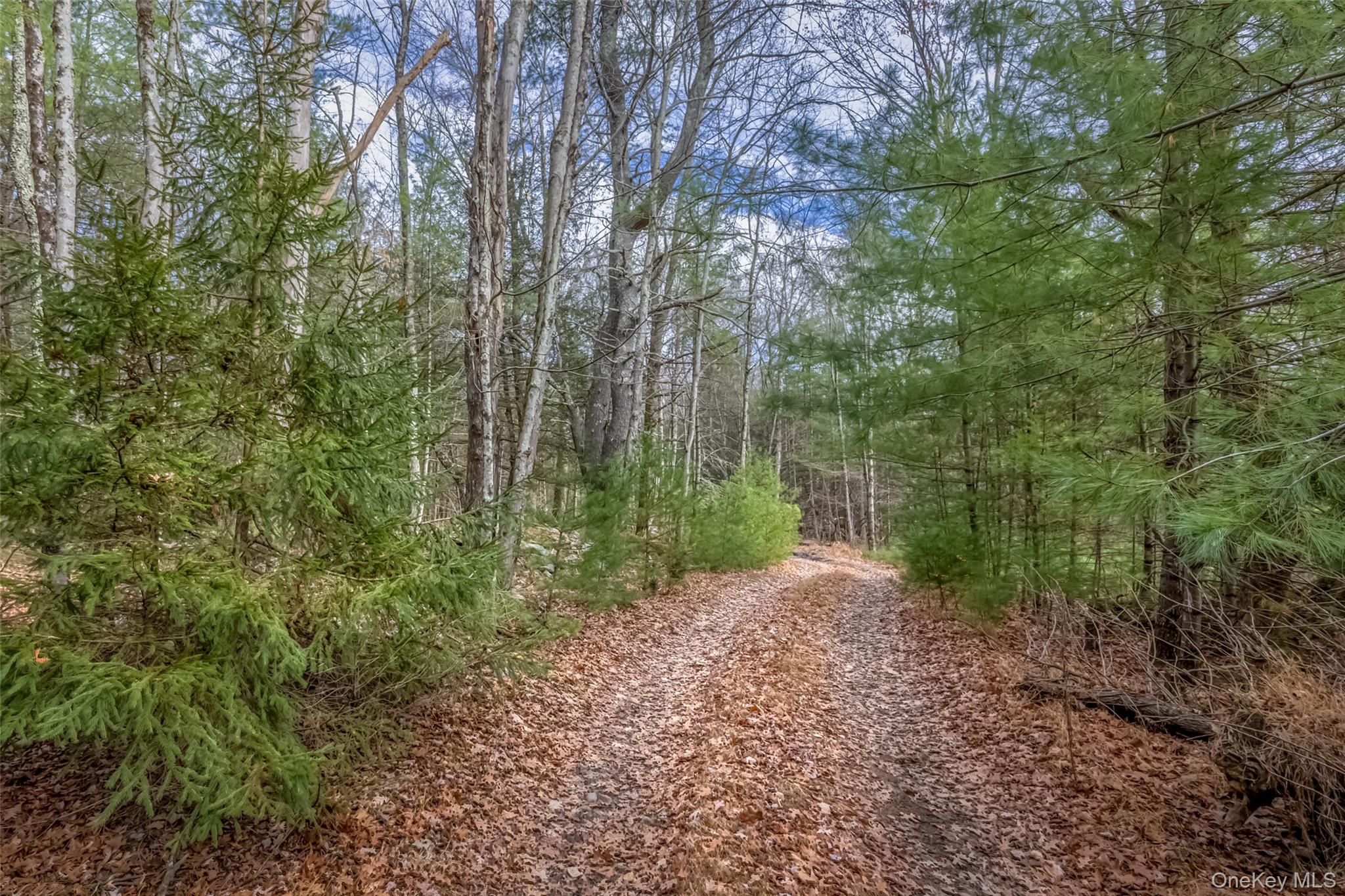 #17 photo, 196 Brown Road, Olivebridge , NY 12461