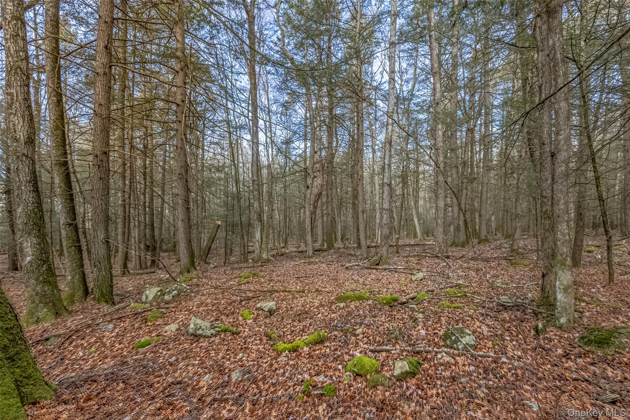 #19 photo, 196 Brown Road, Olivebridge , NY 12461