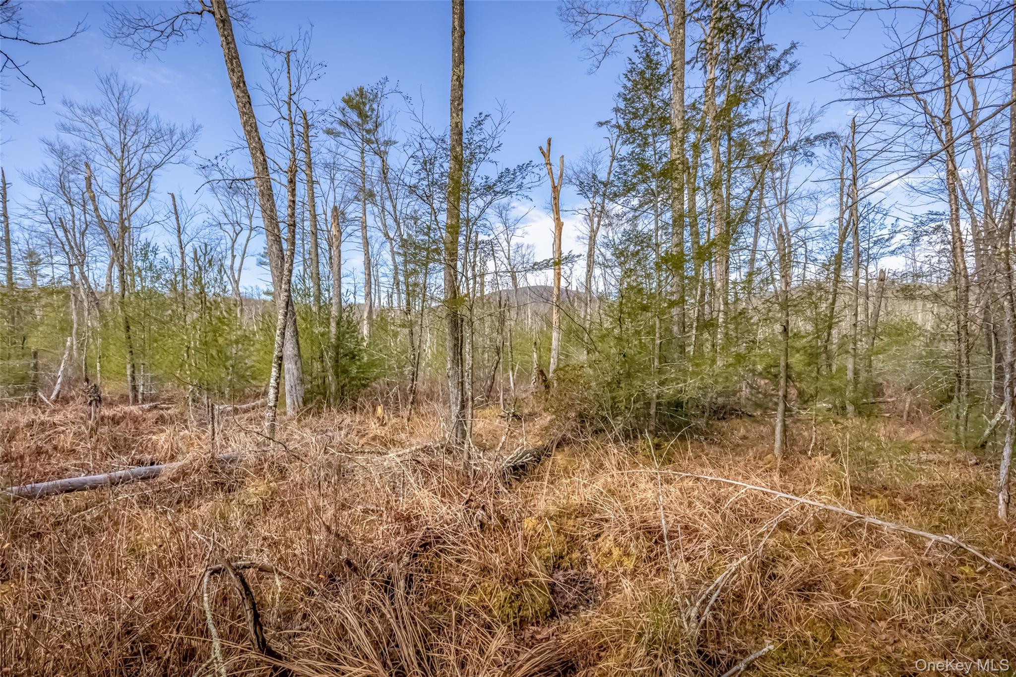 #20 photo, 196 Brown Road, Olivebridge , NY 12461