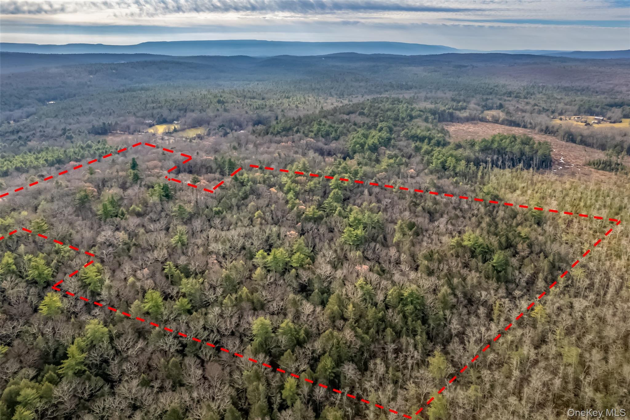 #8 photo, 196 Brown Road, Olivebridge , NY 12461