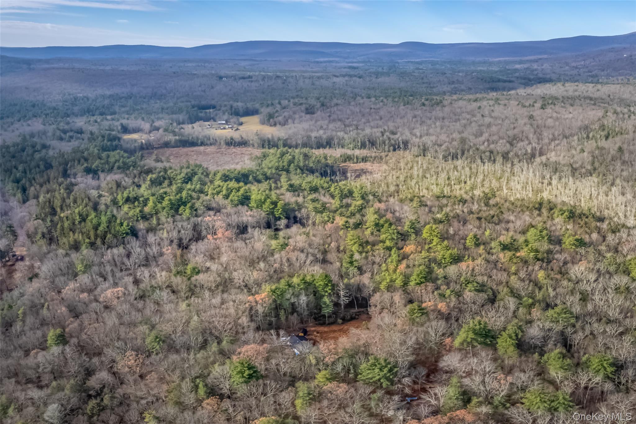 #9 photo, 196 Brown Road, Olivebridge , NY 12461