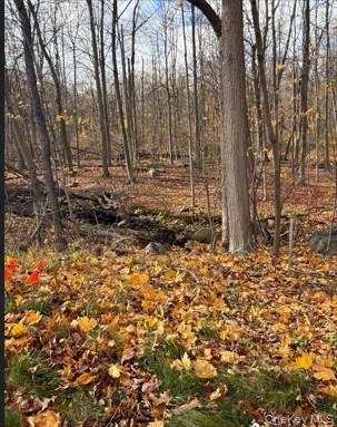 #1 photo, 1 S Airmont Road, Suffern , NY 10901