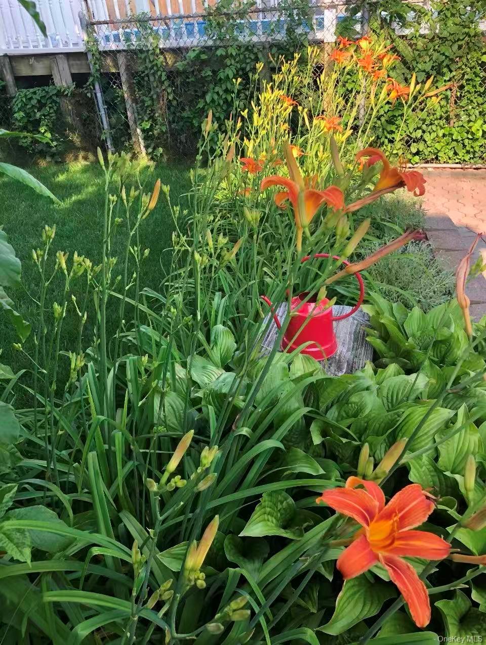 #20 photo, 24125 85th Avenue, Bellerose , NY 11426