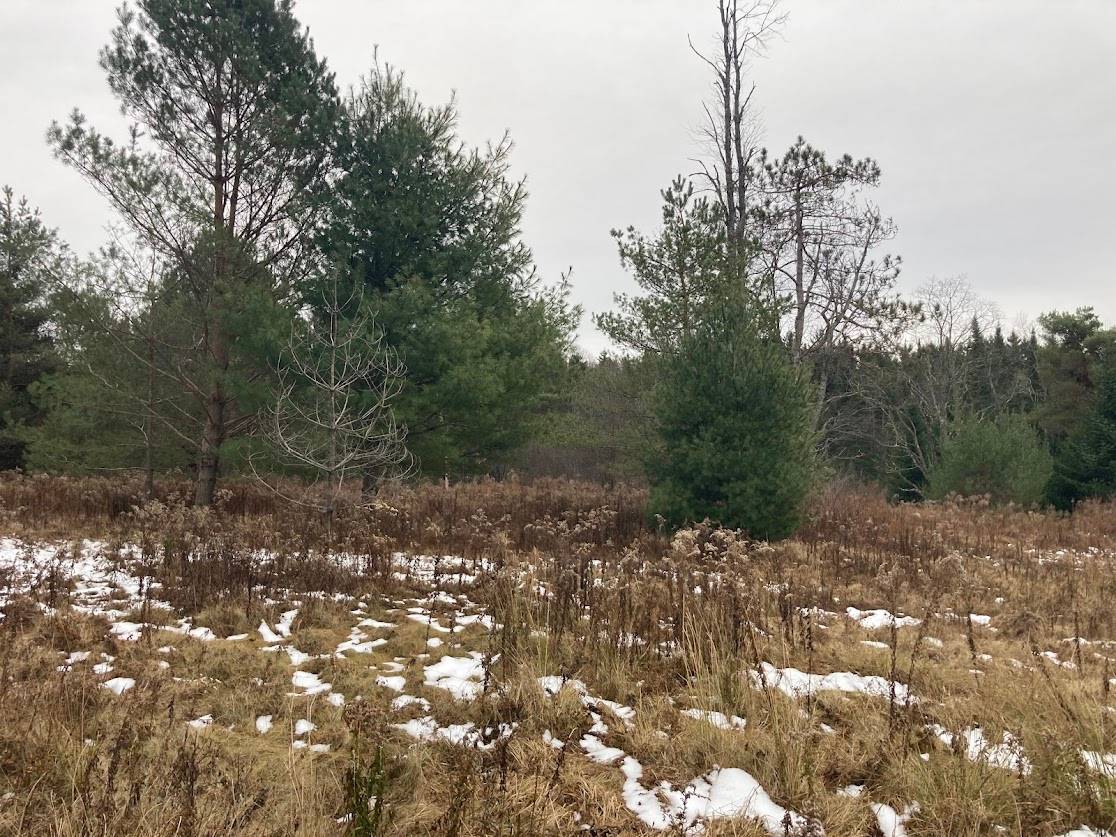 #2 photo, 0  Rt 8, Cold Brook , NY 13324