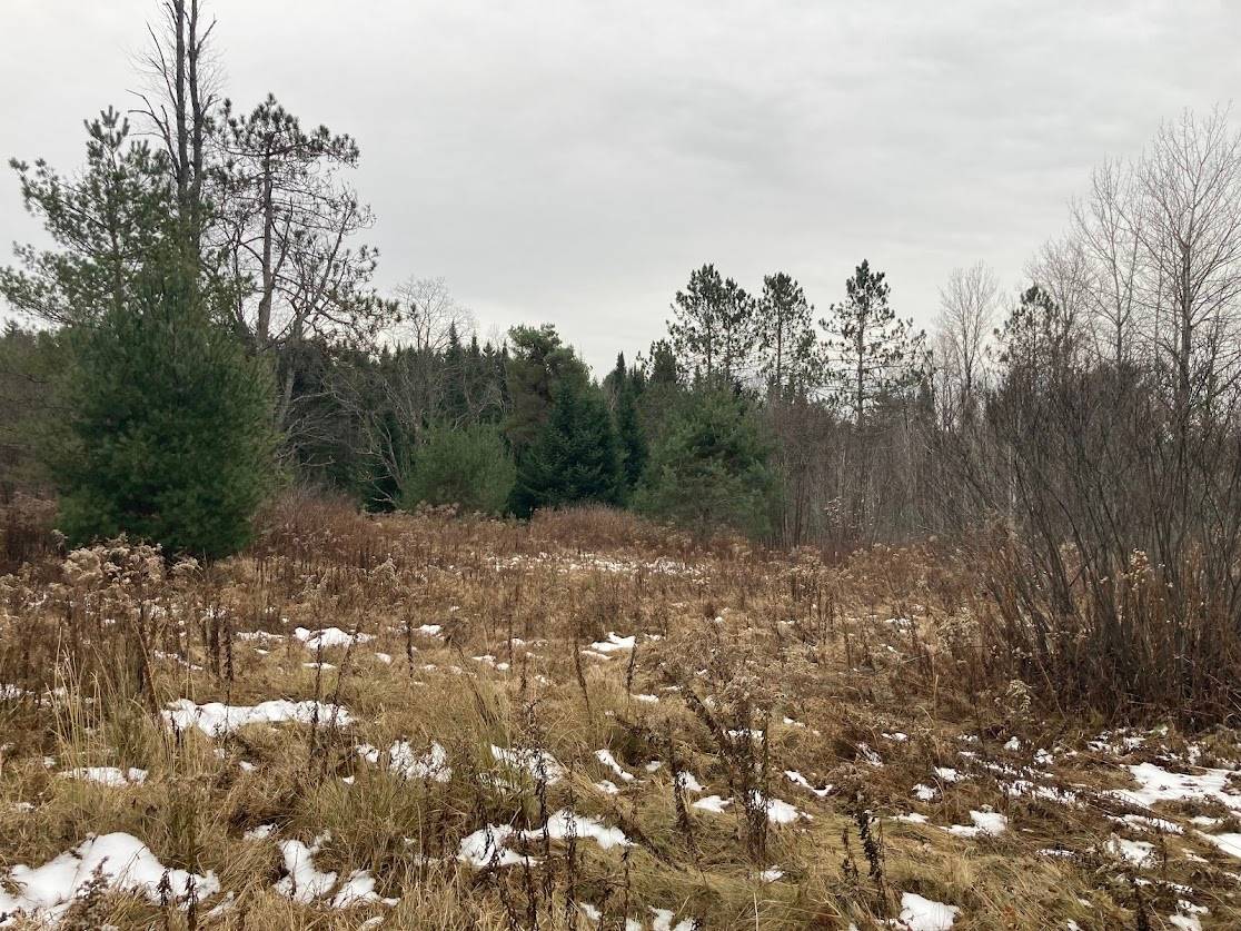 #3 photo, 0  Rt 8, Cold Brook , NY 13324