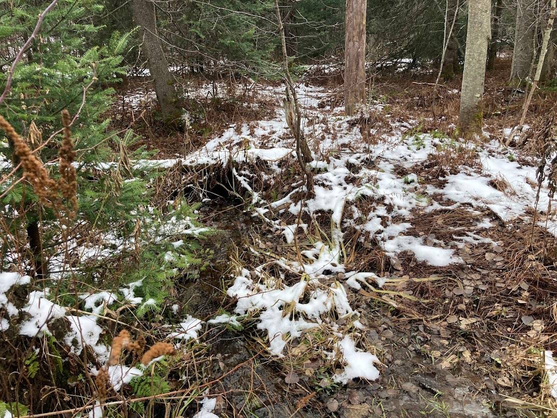 #4 photo, 0  Rt 8, Cold Brook , NY 13324