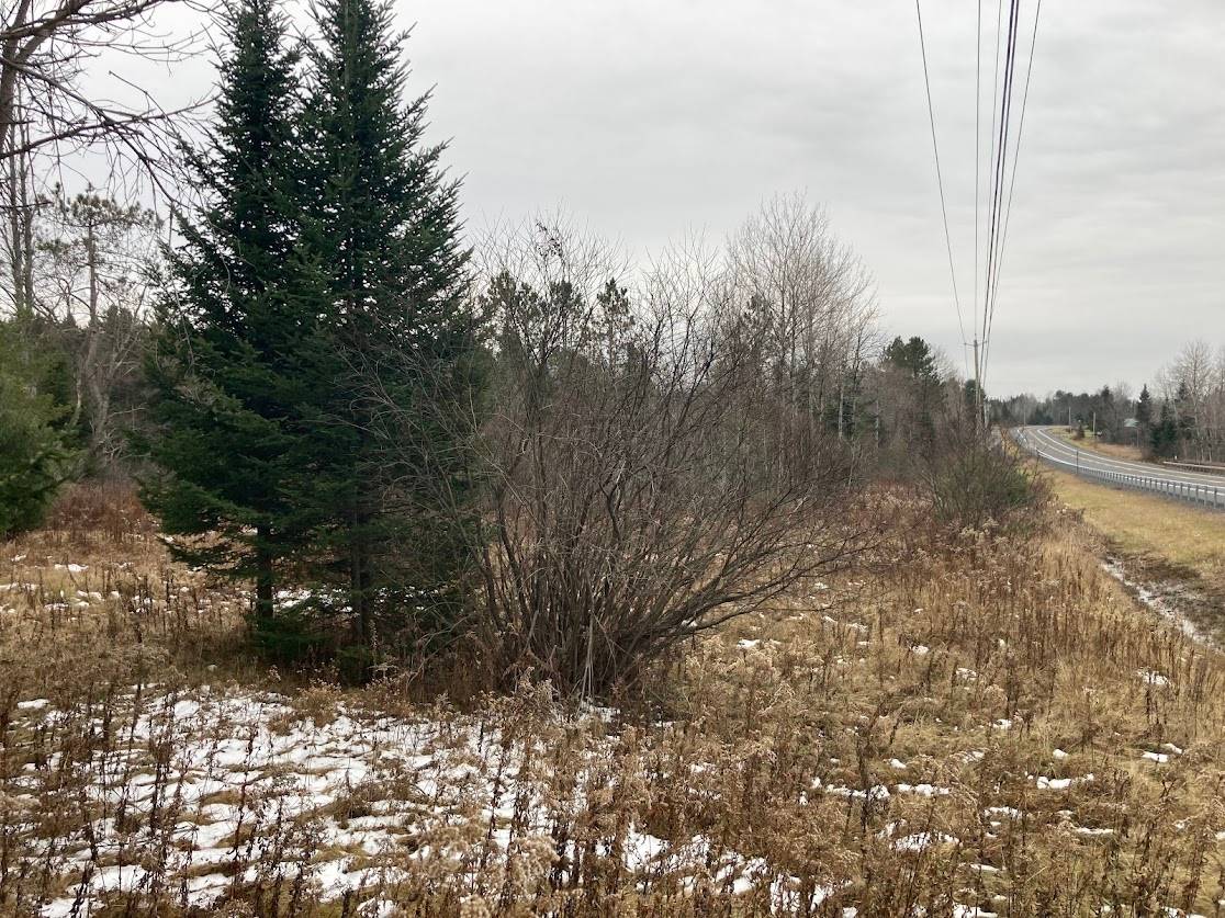 #7 photo, 0  Rt 8, Cold Brook , NY 13324